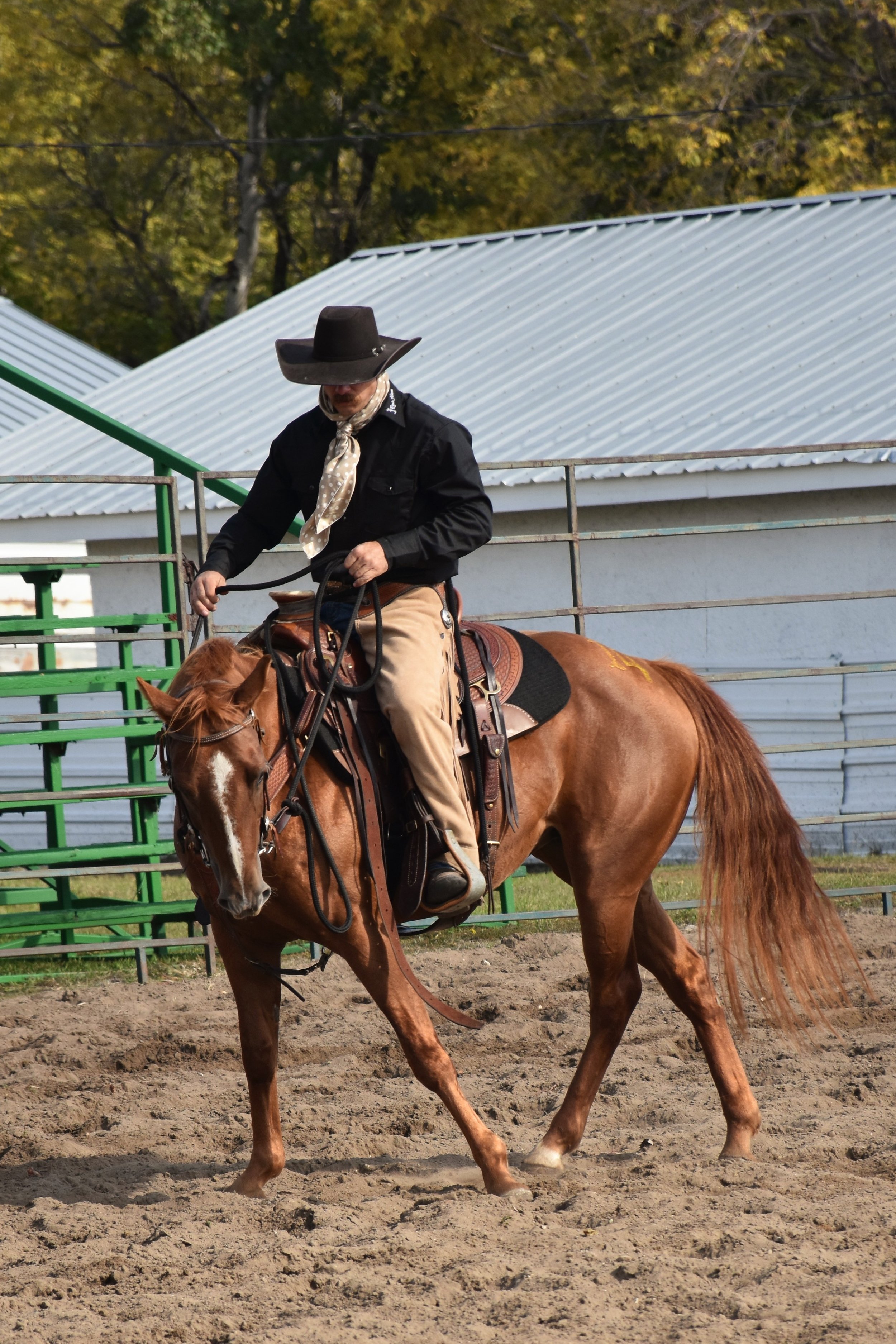 Is fear holding you back? 6Tips for overcoming fear — 2J Ranch Horses