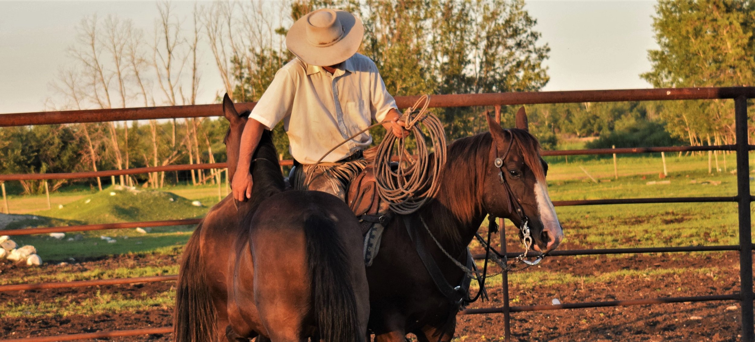 The language of horsemanship — 2J Ranch Horses