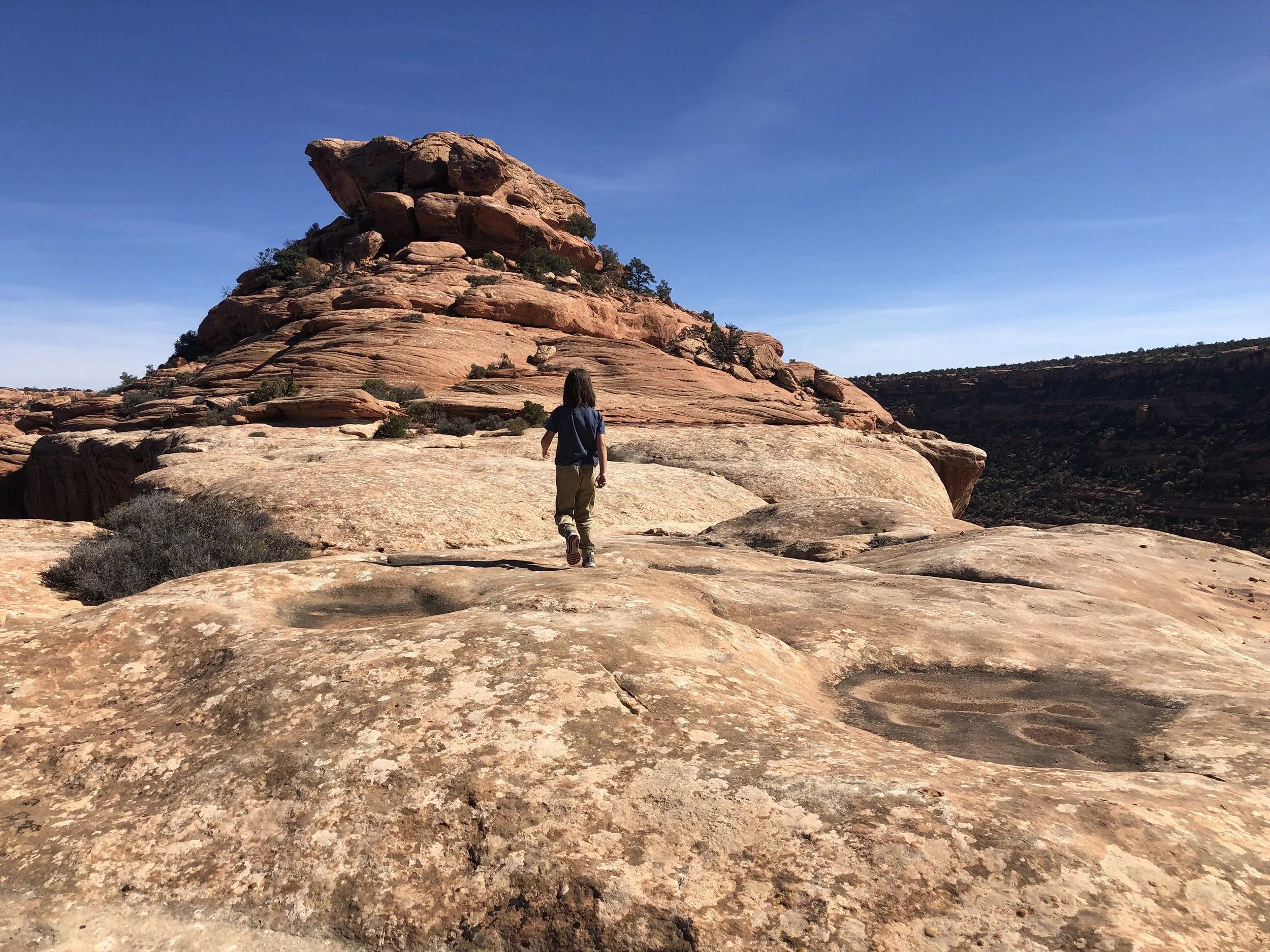 Unpacking “Expeditionary Performance”
