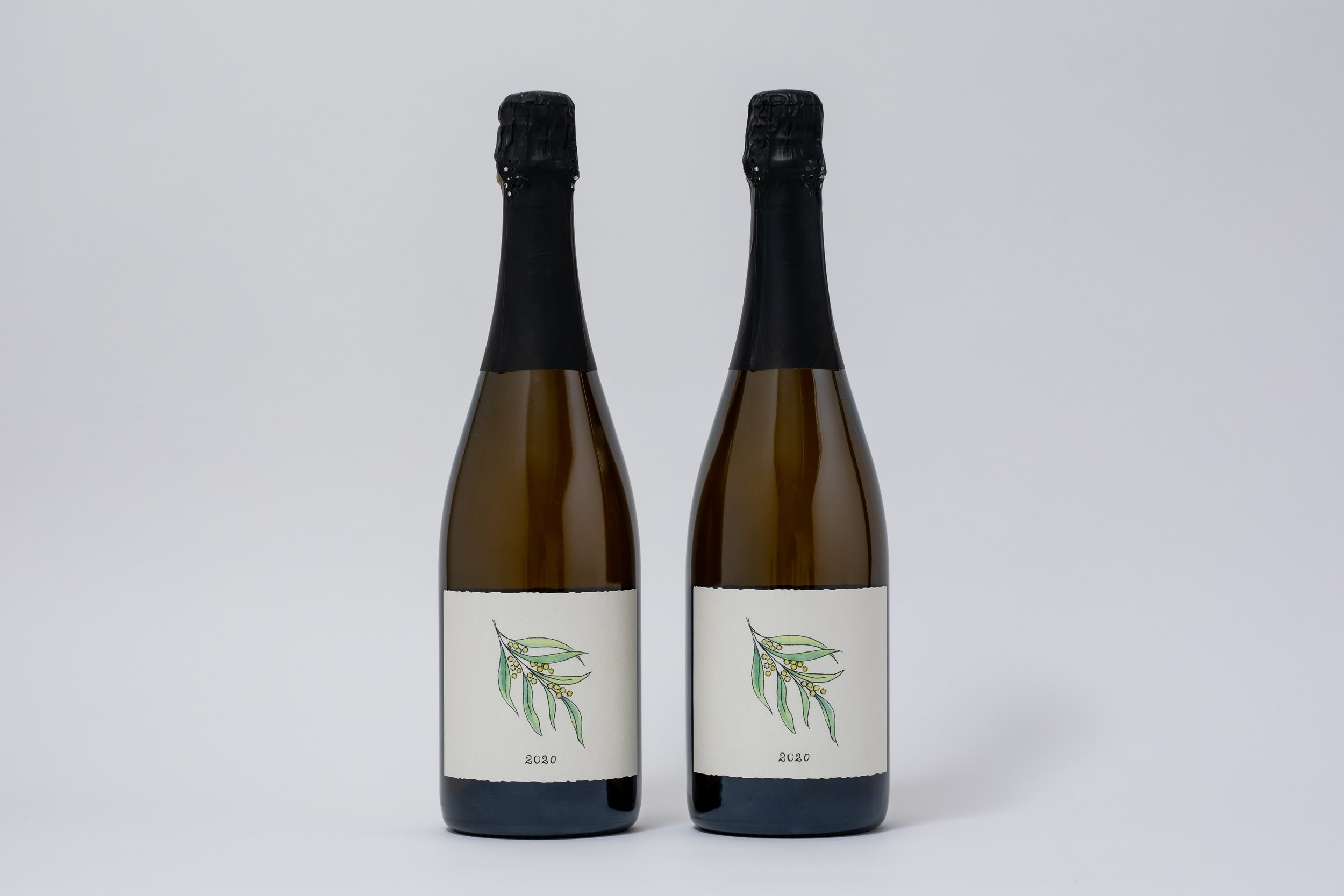 LuggWines_KateShanasy_Nov2023_hires-0620.jpg