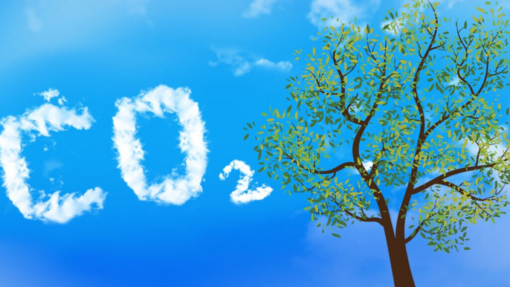 Save the planet, plant trees! Impact climate change in the UK positively!