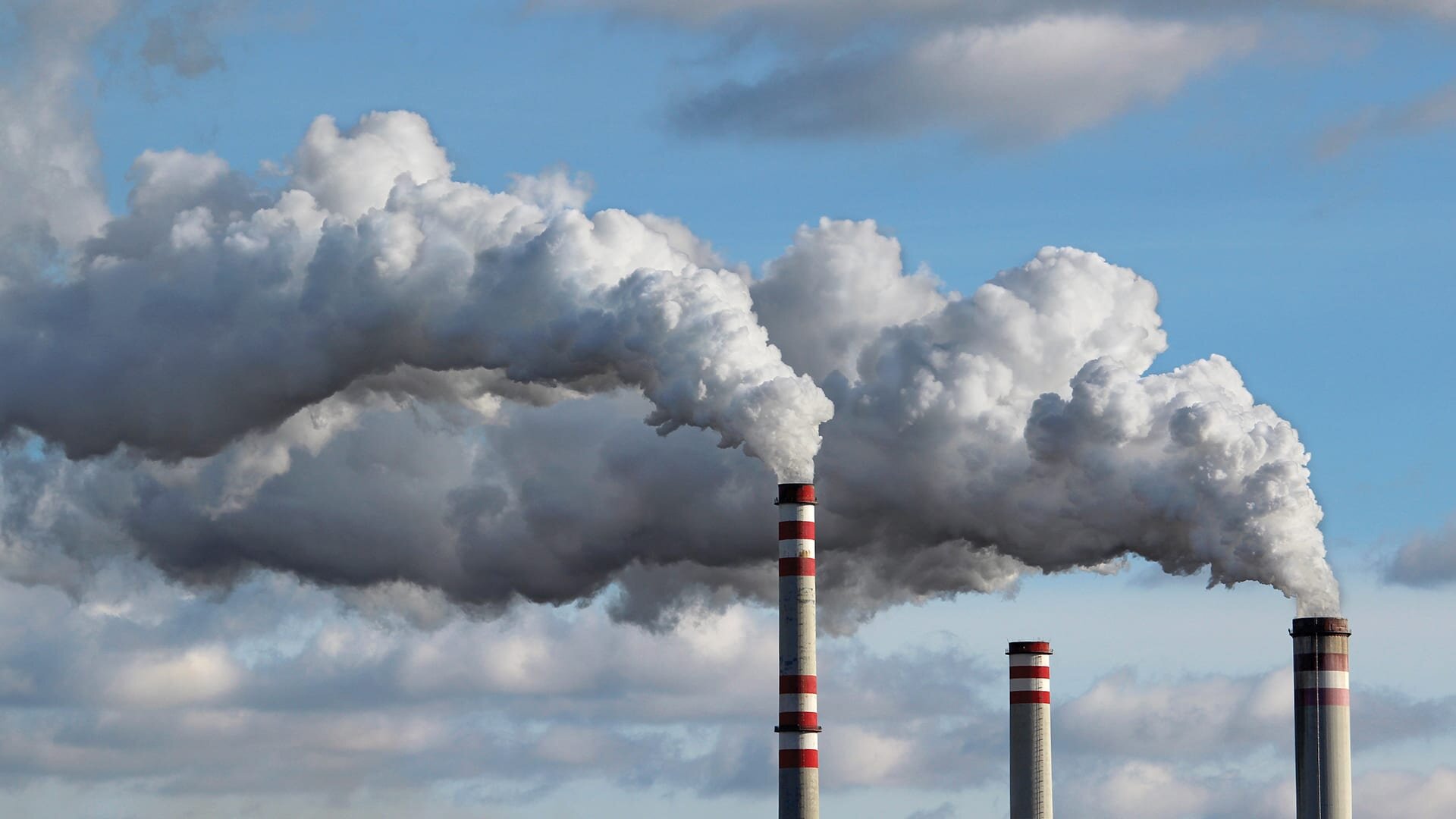 3 things YOU NEED to know about air pollution! #Time4trees