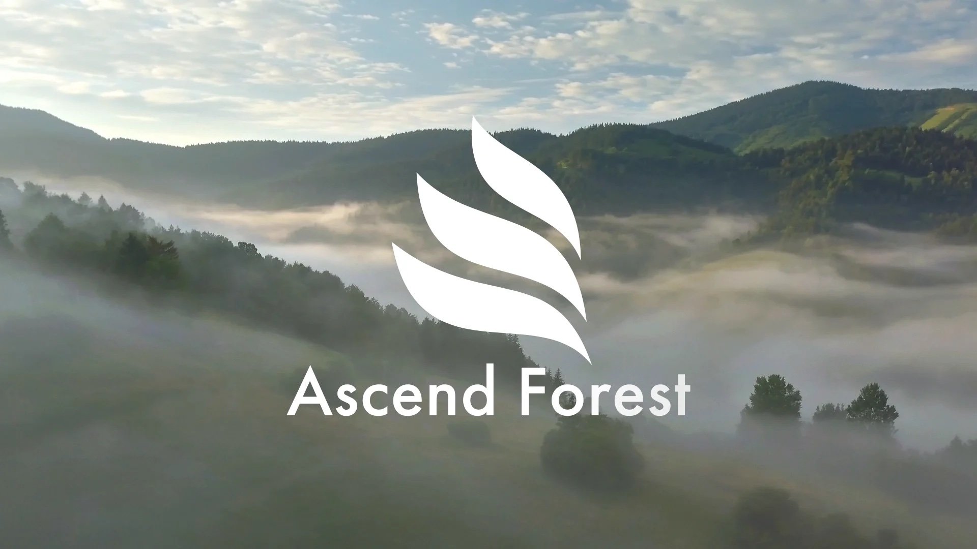 Insurance - Ascend Broking Group