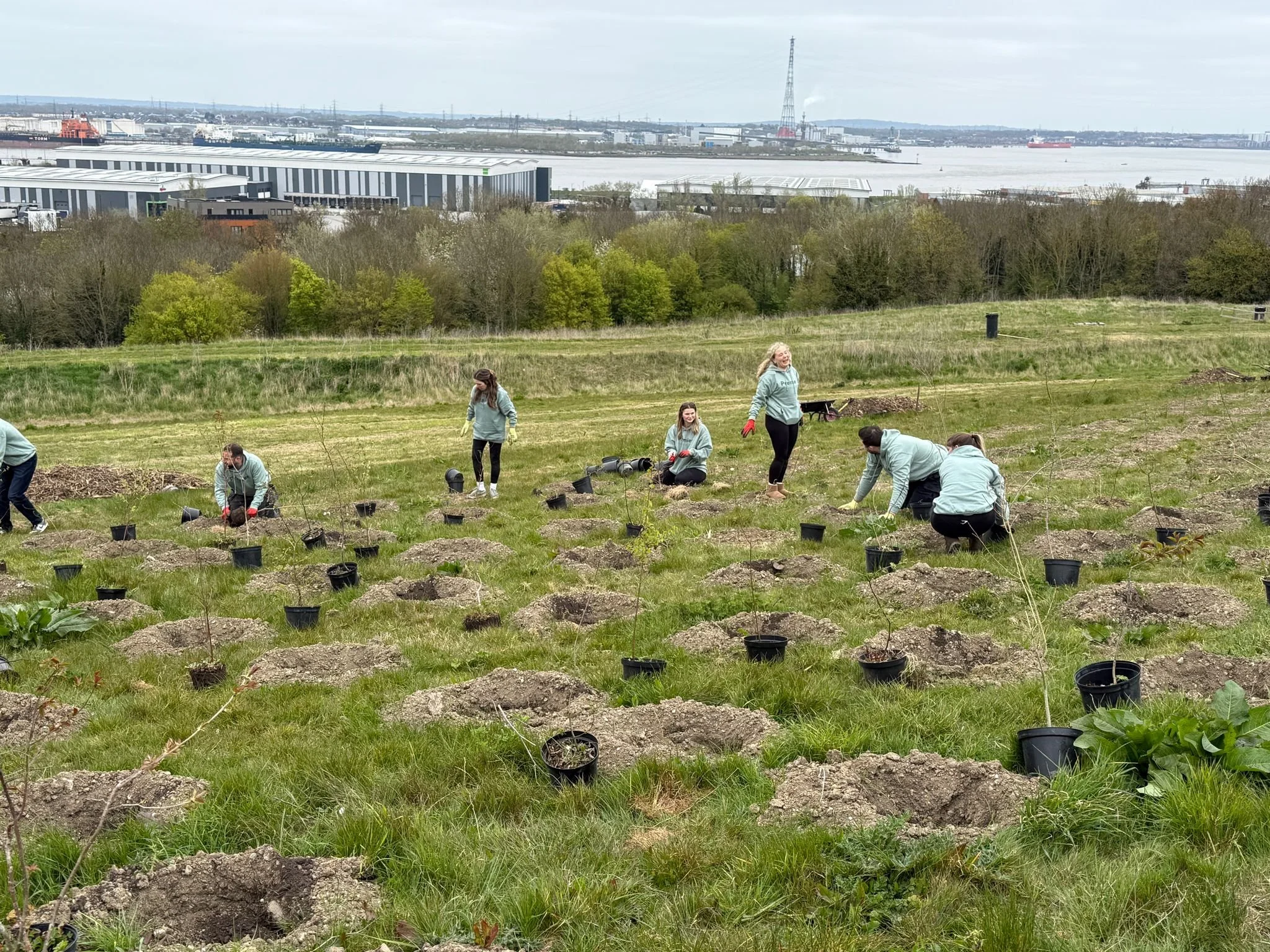 the premier p and p team planting their UK woodland with Time4Trees