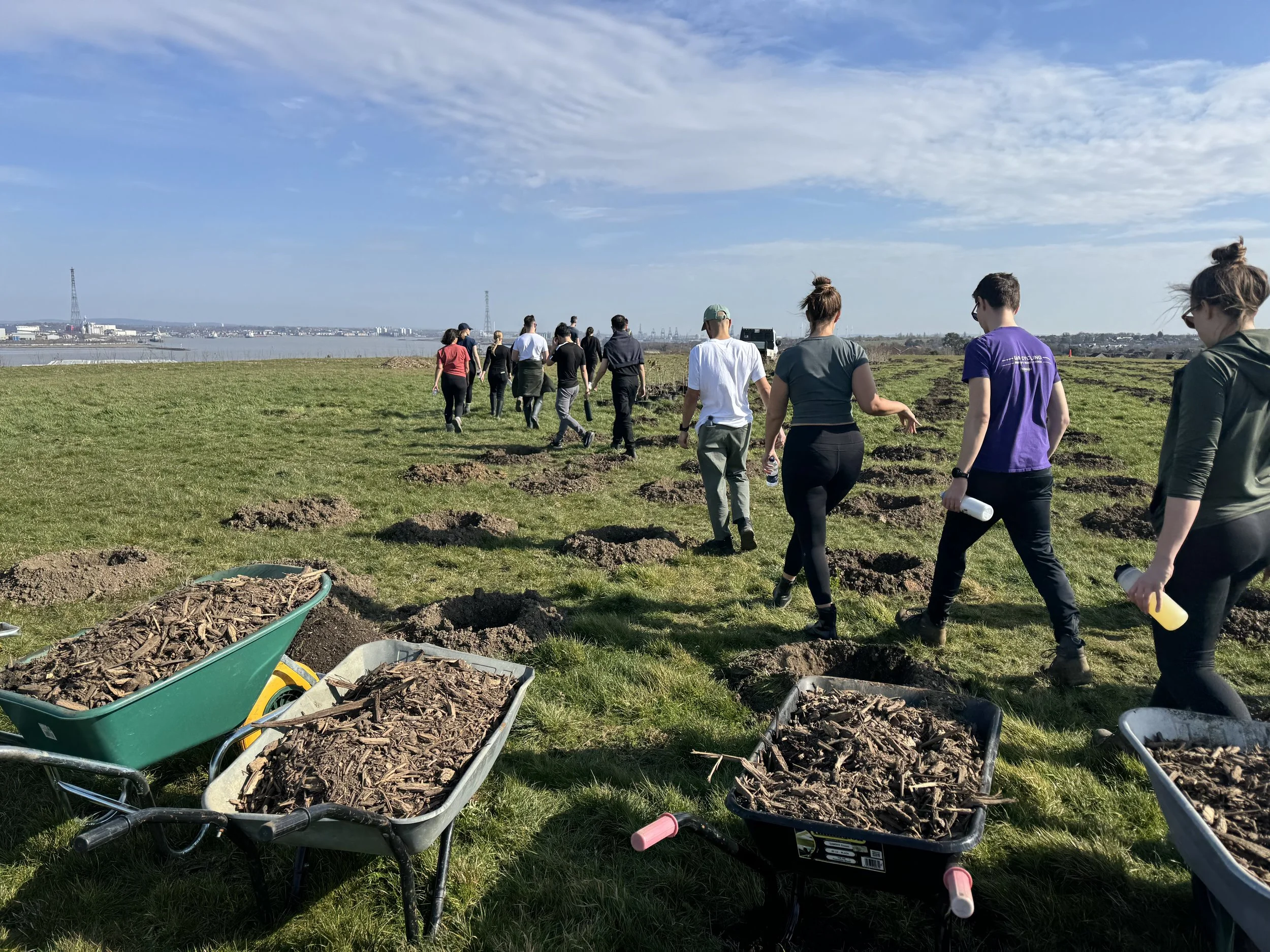 The Plan A Consultants team hard at work planting their UK forest with Time4Trees