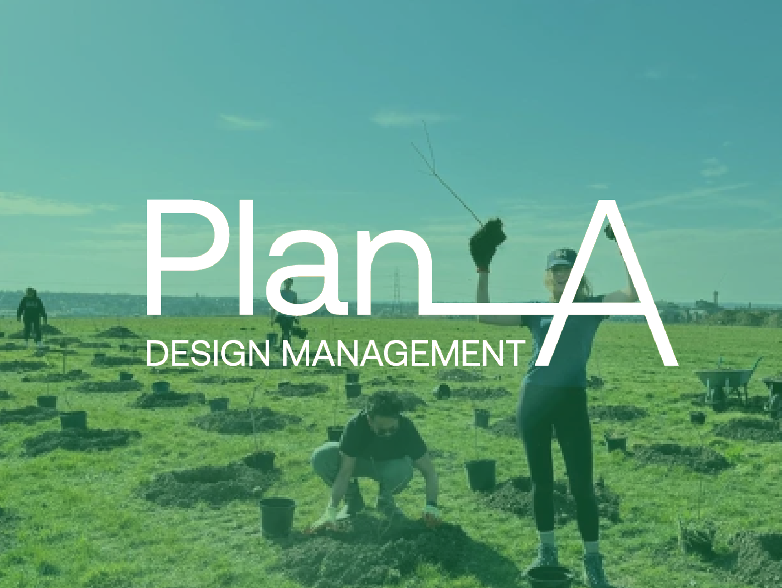 Consultancy - Plan A Consultants