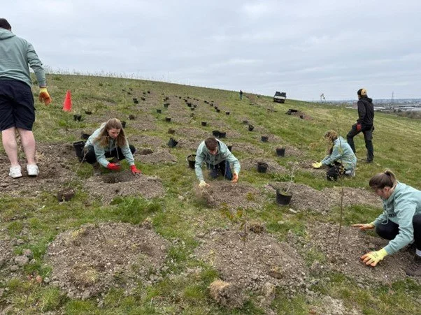 The Premier. team hard at work planting their UK forest with Time4Trees
