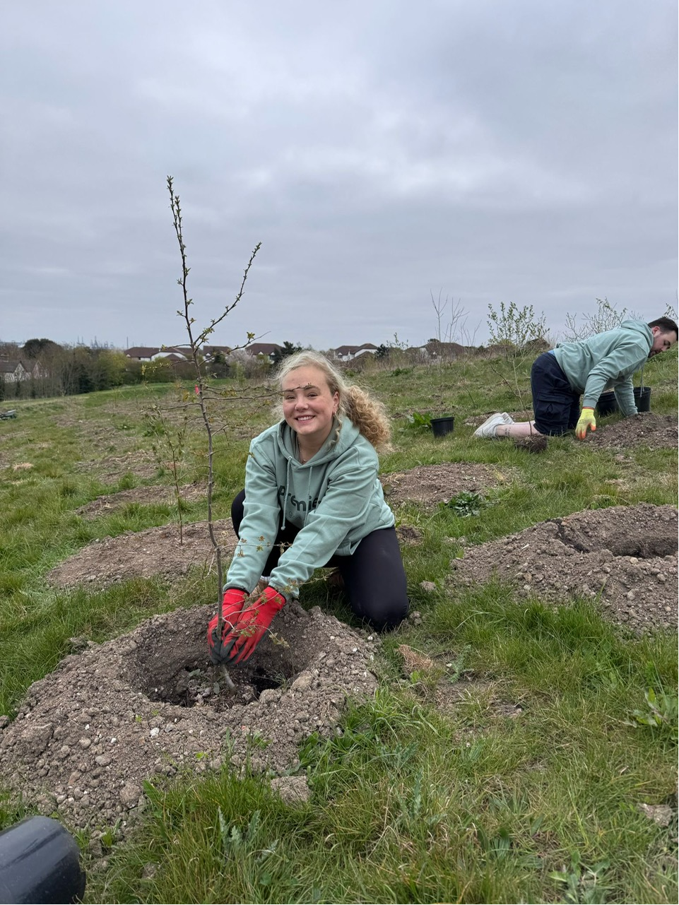 Premier P and P planting a uk woodland with Time4Trees
