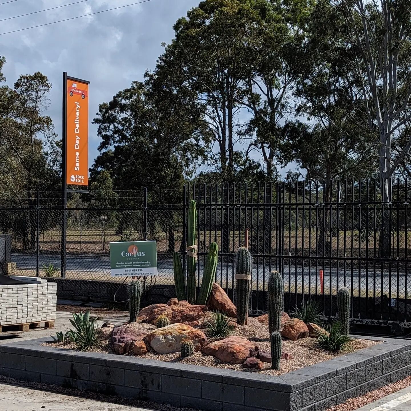 Looking for cactus garden inspiration? Take a trip out to @rockandsoil at Tingalpa to see our latest display garden!

⛏️🌵 Garden design, landscaping and plants supplied by Cactus Culture Australia. 

🪨🛻 Rock, custom cactus soil blend, and expert m