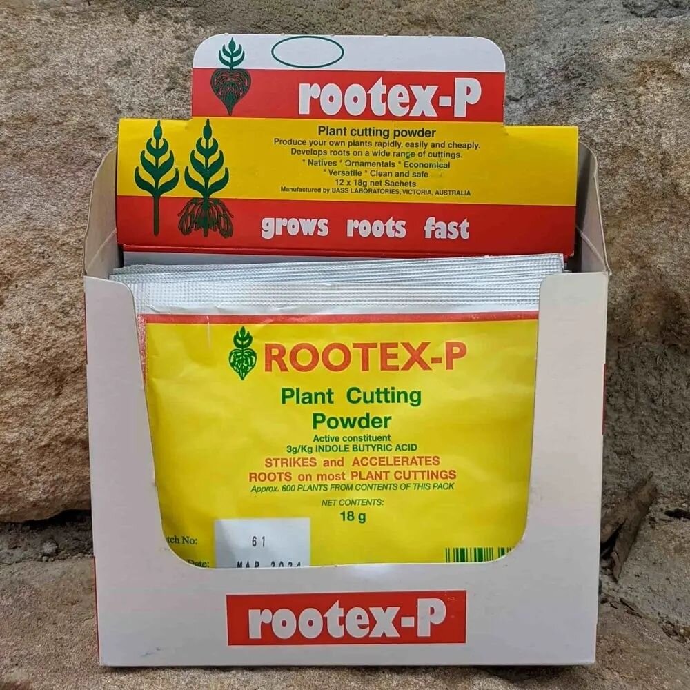 Rooting hormone can drastically speed up root formation in cactus cuttings. 🌵

Is it necessary? No.
But, is it useful? Absolutely 👌.

A shorter rooting timeframe lessens the stress that cuttings often endure during the rooting phase, reducing the c