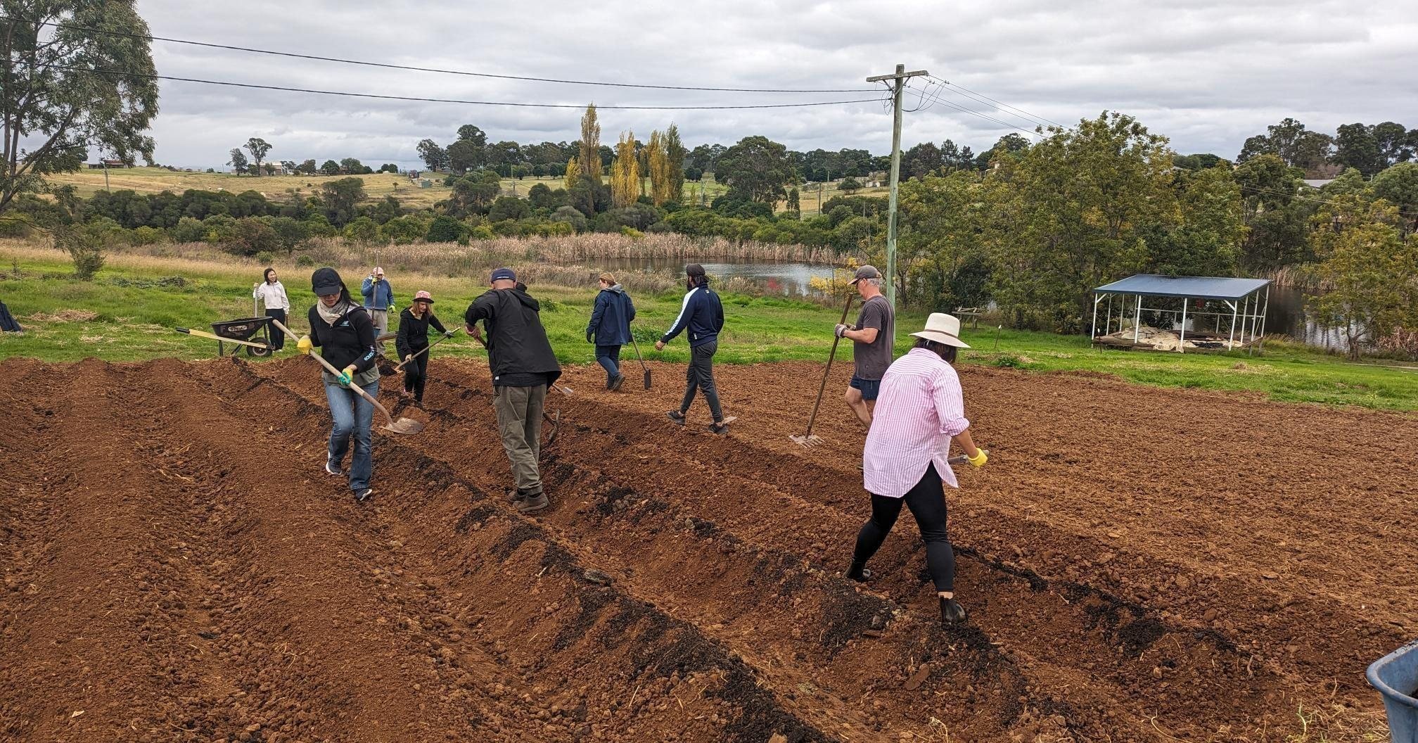 Thanks to the hardworking team from Westpac Institutional Bank for some great bed-forming in our veg garden, as part of their support for Cana at the farm. 👩&zwj;🌾

#CanaFarm #SocialEnterprise #CorporateVolunteering #NewBeginnings