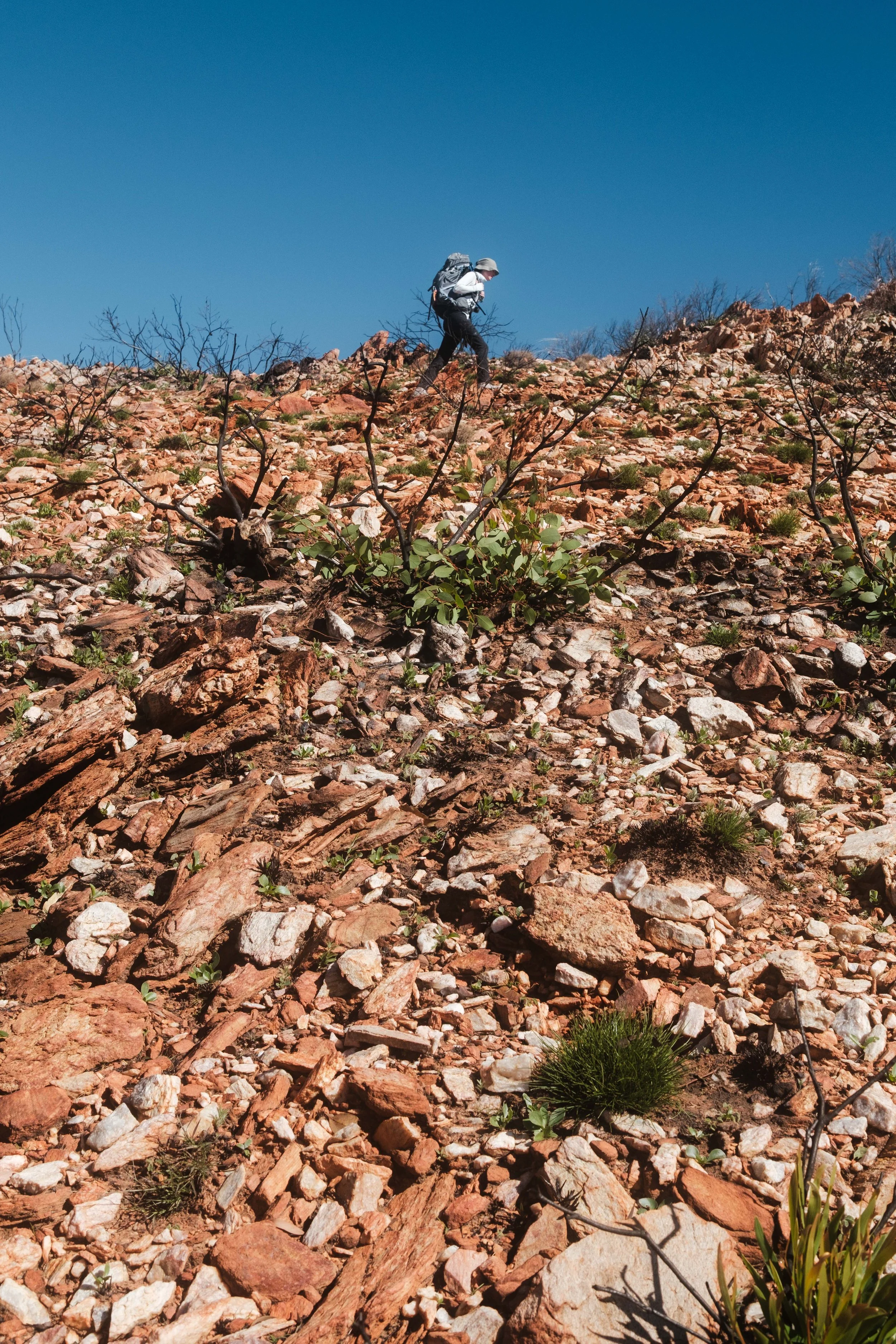 Larapinta-day-two-35.jpg