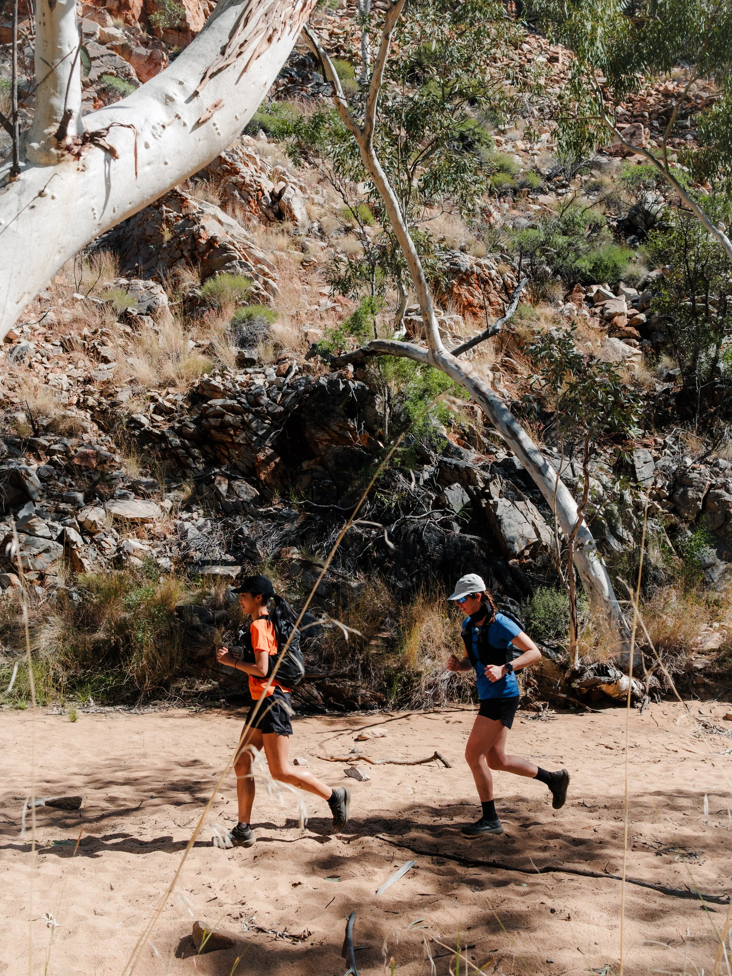 Larapinta-2025-highlight-44.jpg