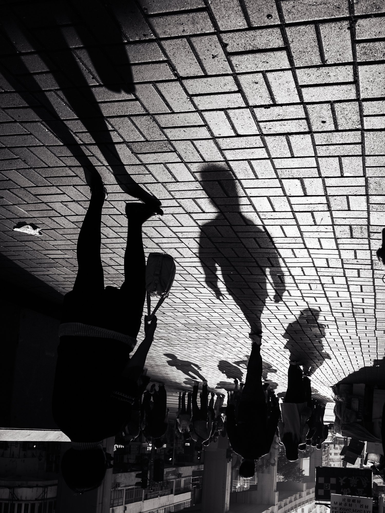 L1003103.jpg