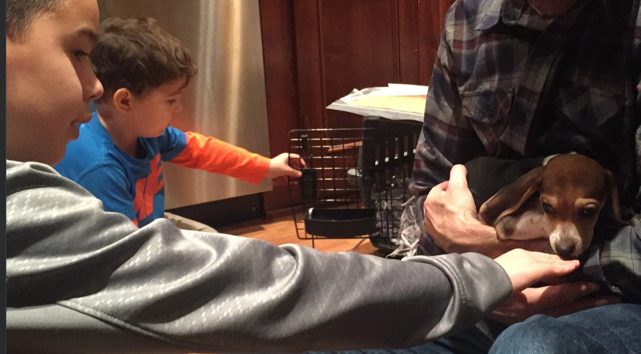 I'll Take Care Of You