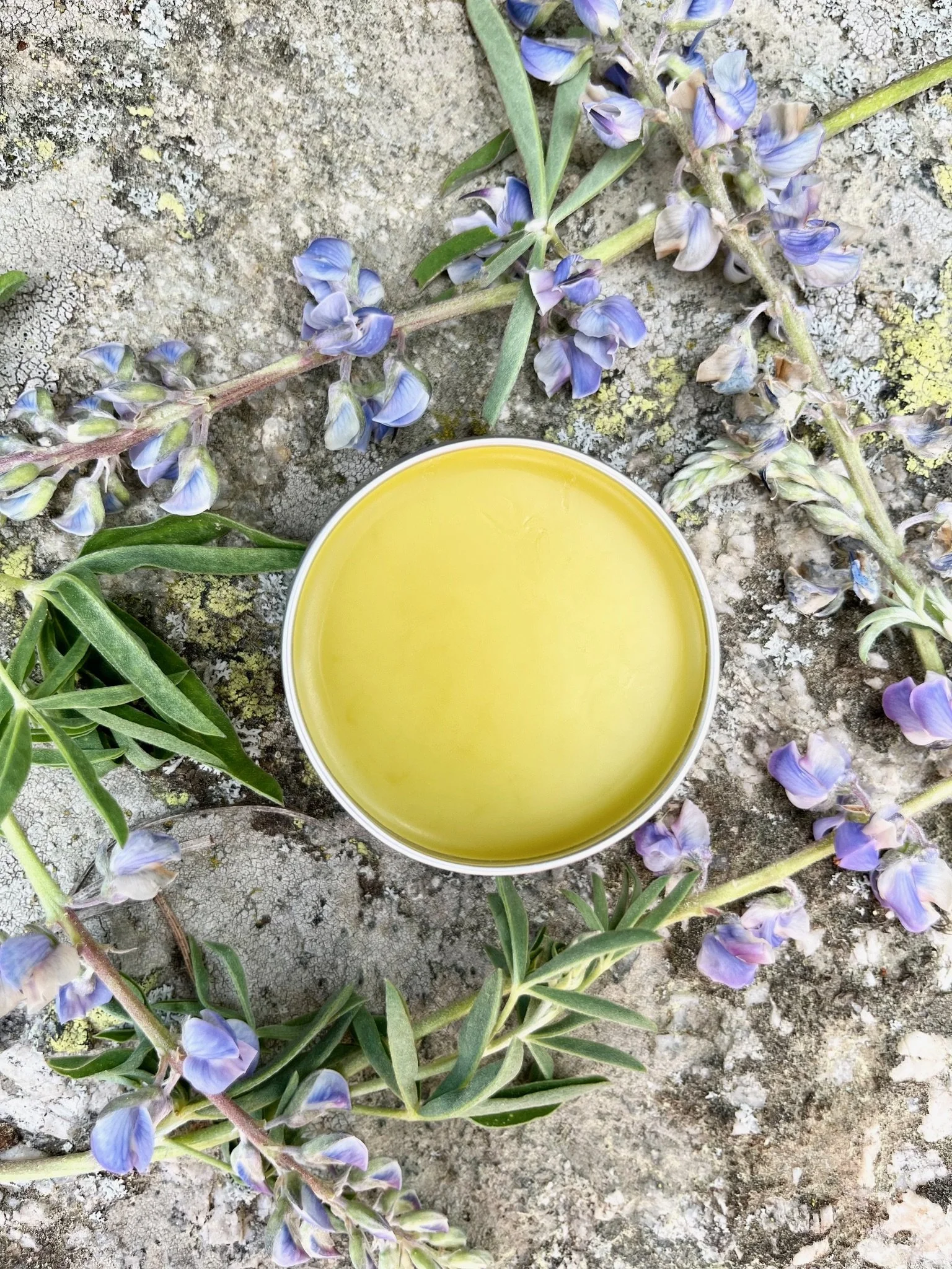 fm gaia moon salve.jpeg