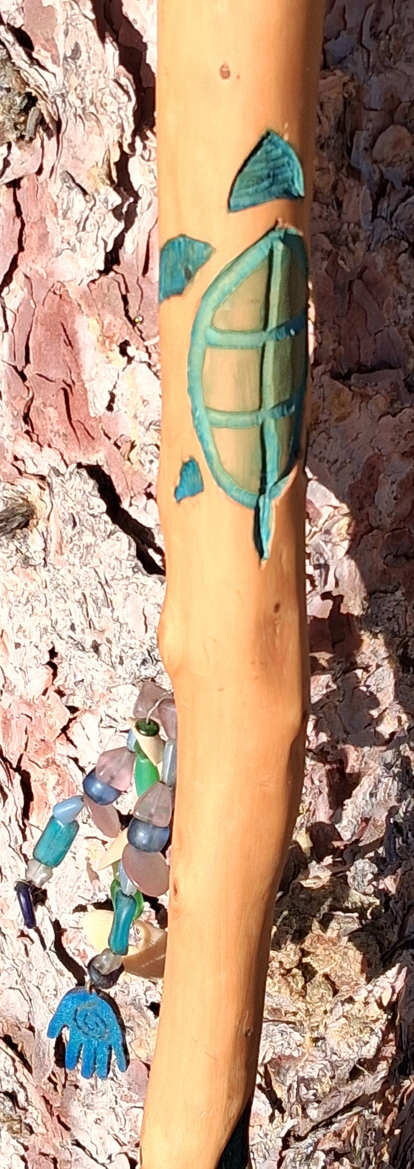 fm cc  TurtleDetail.jpg