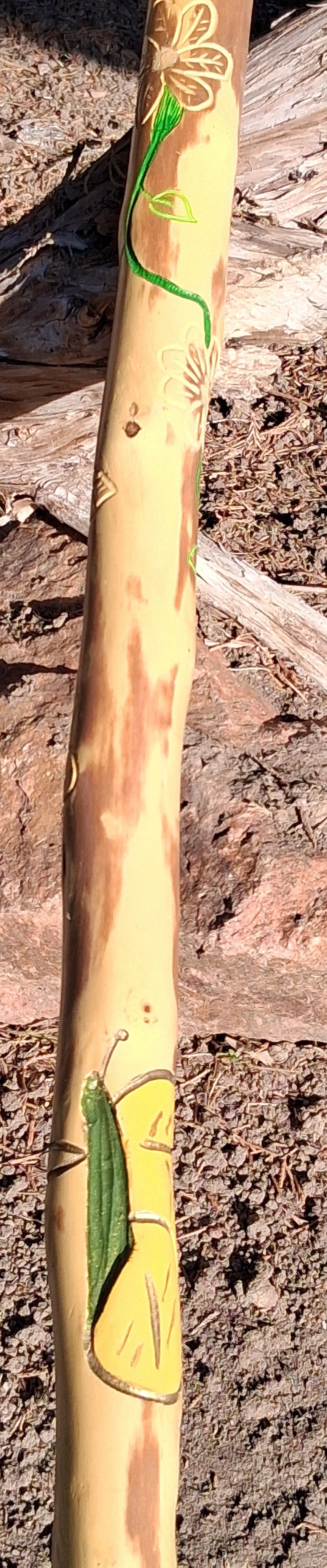 fm cc FlowersButterflyDetail.jpg