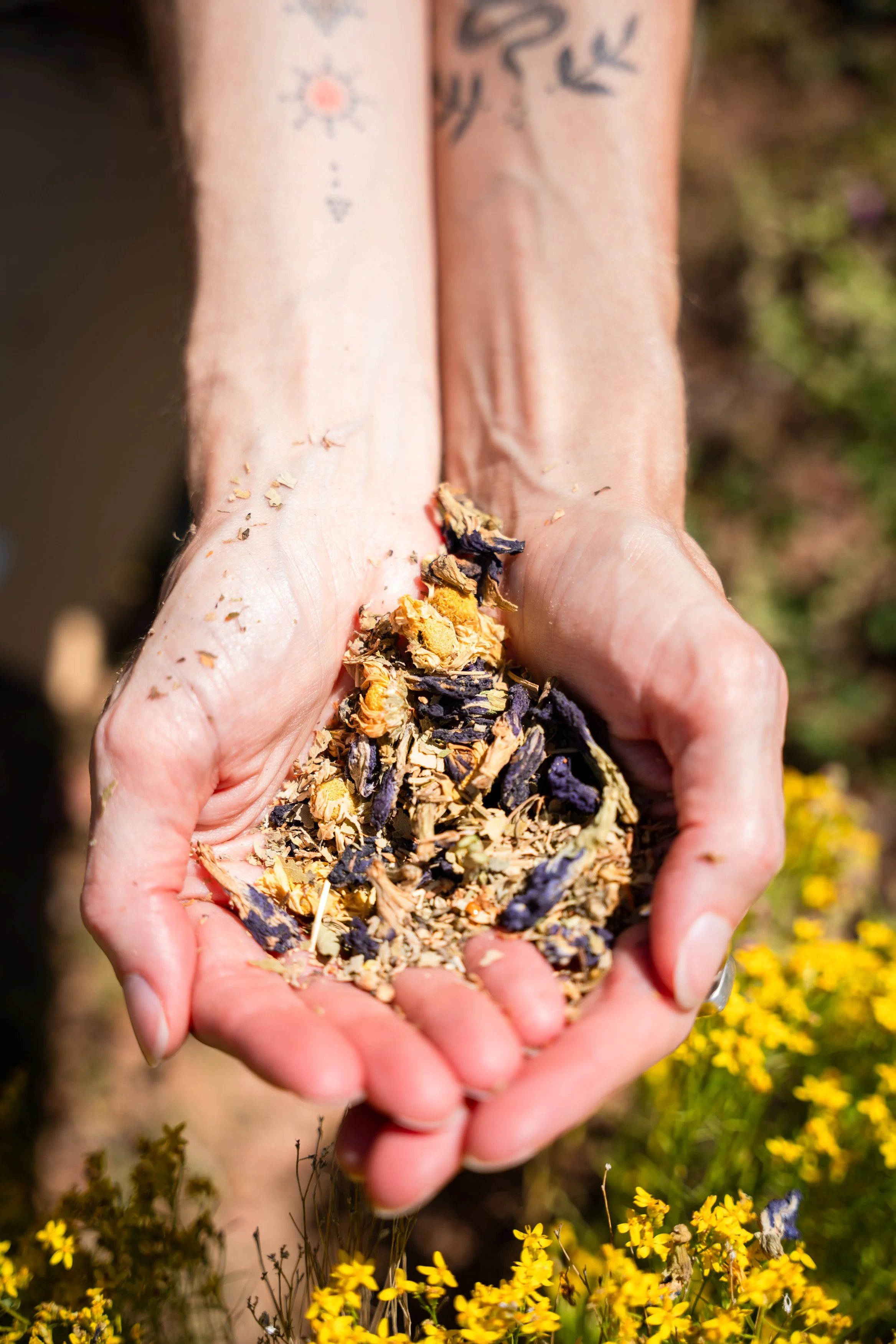 Little by little .jpg