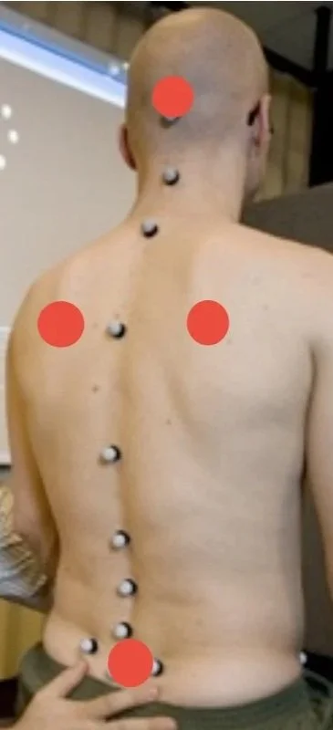 A person sitting with the four support points highlighted for the back of a chair