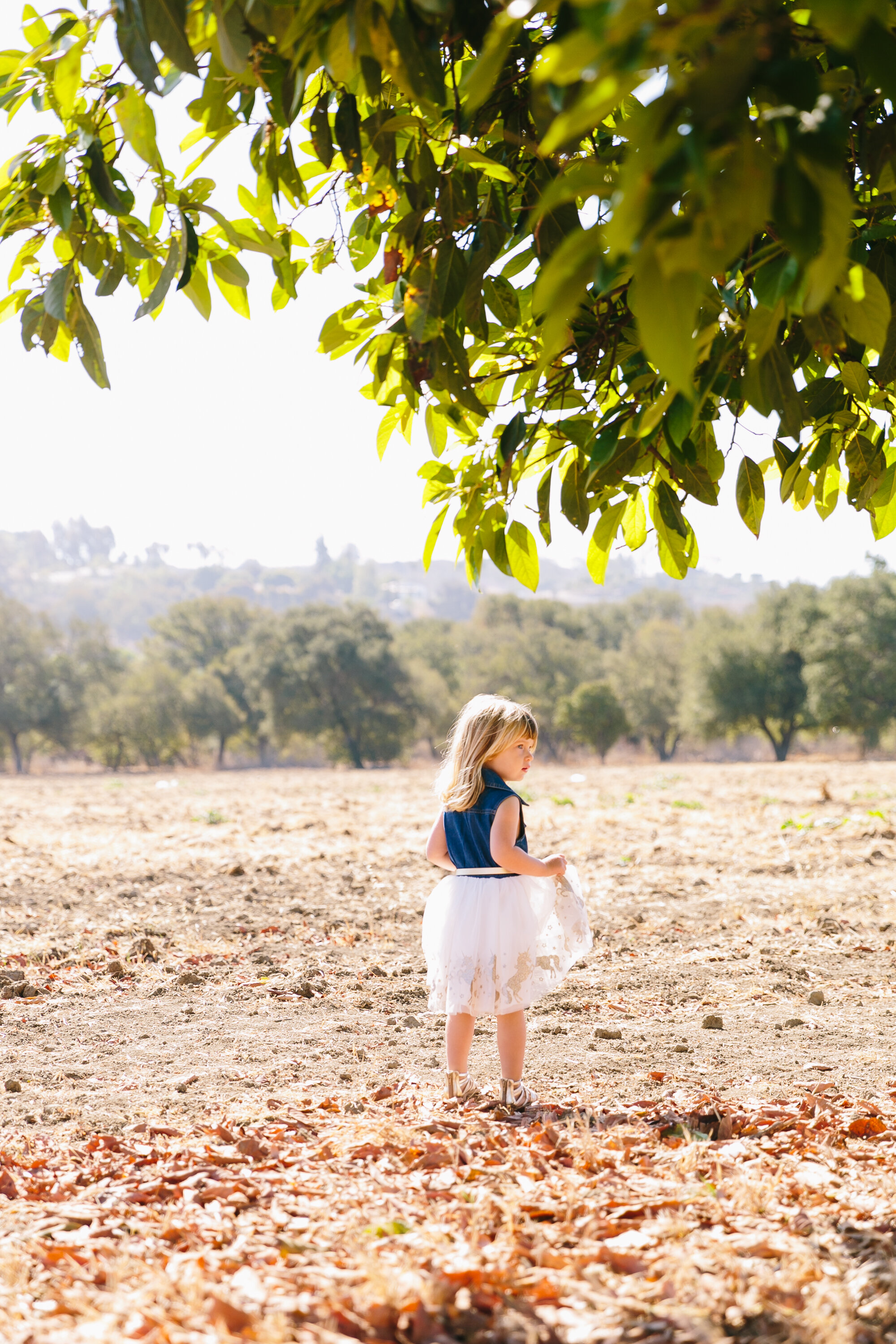 Los_Angeles_Family_Photography_Orange_County_Children_Babies_Field_Farm_Outdoors_Morning_Session_California_Girls_Boys_Kids_Photography-1124.jpg