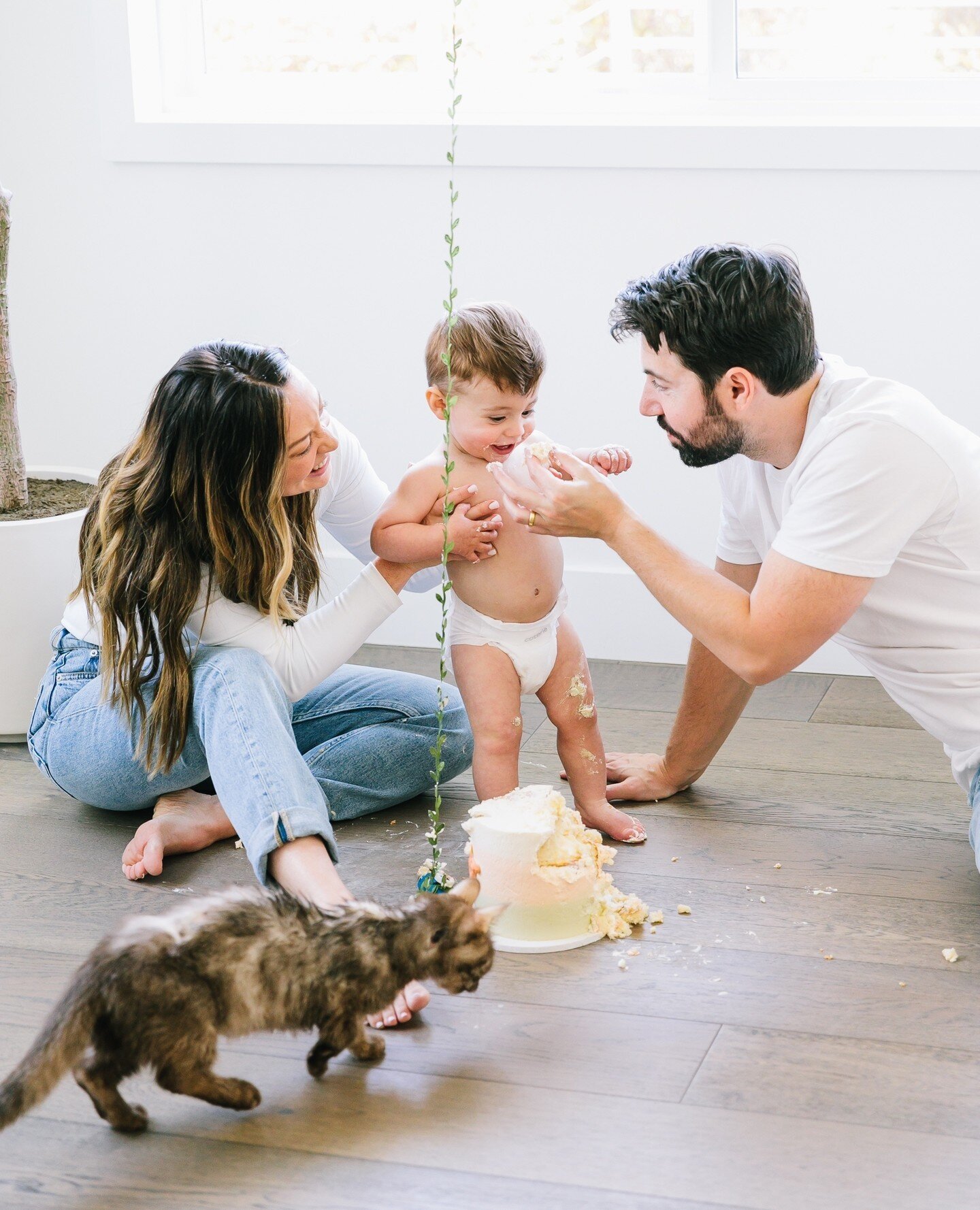The whole family getting in on the cake smash. I love it when everyone gets together, unafraid of the mess. Even Simba, the ancient munchkin cat was joining for some cake! ⁠
&bull;⁠
&bull;⁠
&bull;⁠
&bull;⁠
&bull;⁠
&bull;⁠
#billyedonyaphotography #bir