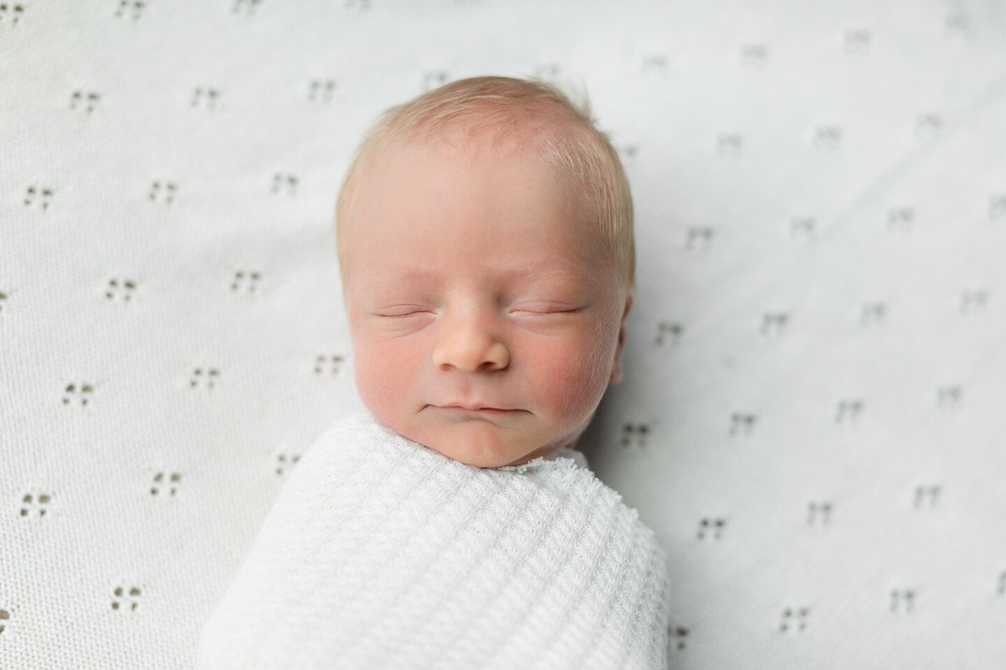 This teeny biscuit was TWO whole days old. Snoozing with a perma-smirk and covered in peach-fuzzy lanugo, my little mama heart was in heaven photographing his newbie sesh 💕
&bull;⁠
&bull;⁠
&bull;⁠
&bull;⁠
&bull;⁠
&bull;⁠
#billyedonyaphotography #let