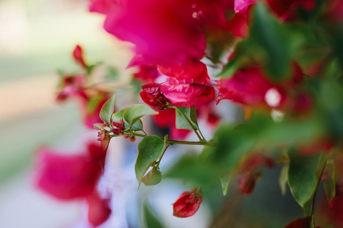 Family sessions are so much more than big ole cheese-grins
•
•
•
•
•
•
#billyedonyaphotography #theaugustmag #familyphoto #familyphotographer #thebloomforum #theartofmotherhood #familyphotography #familyportrait