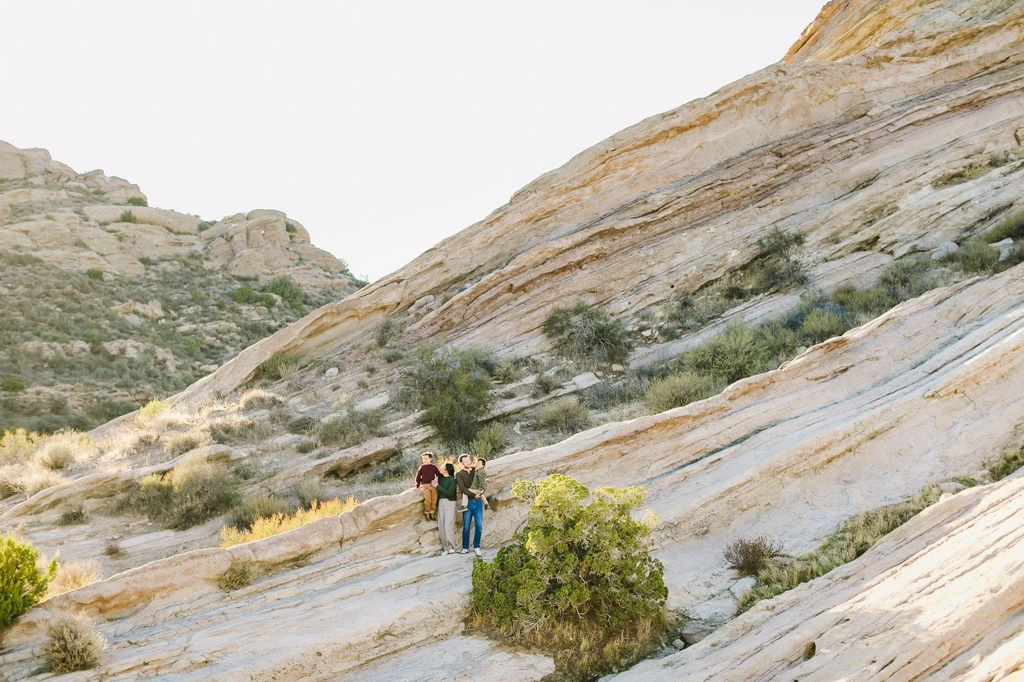 Some of my favorite things to capture are the small, close-up details. Lately I've been playing with perspective especially using a prime lens. It forces you to move your body, not the lens, and getting away from my subject has always been something 
