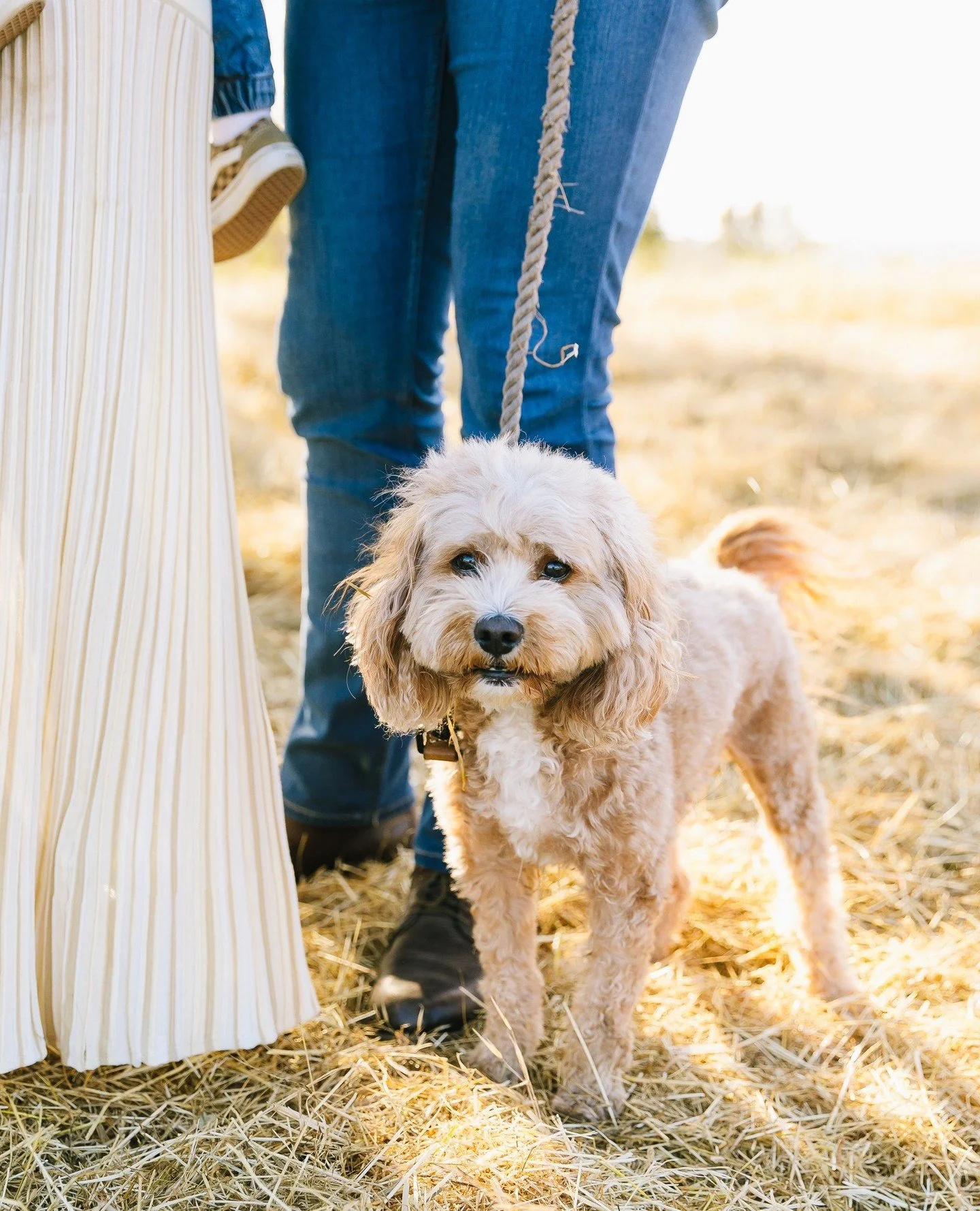 His name is Pinot, Pinot Noir.⁠
but for real, that's his name.
