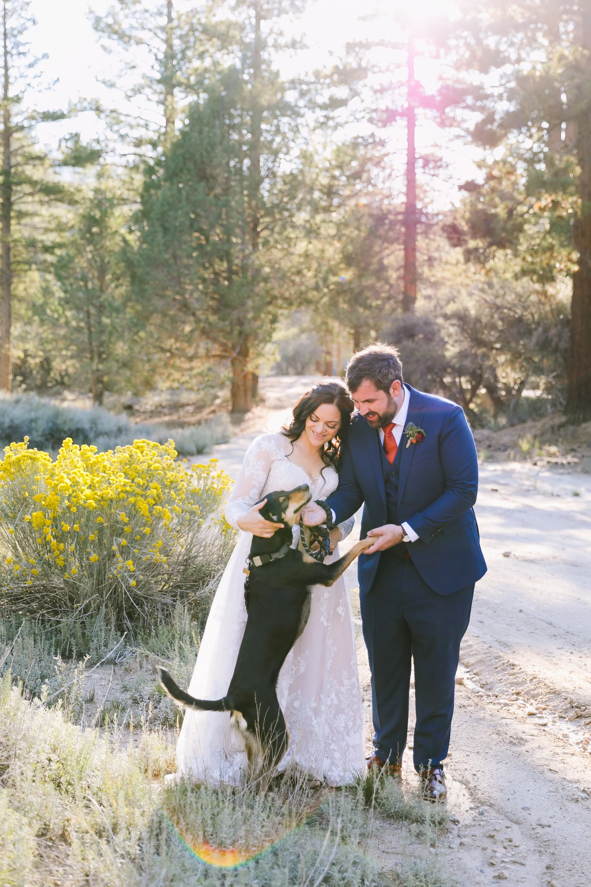 A bride and groom with a dog in a forest clearing.
