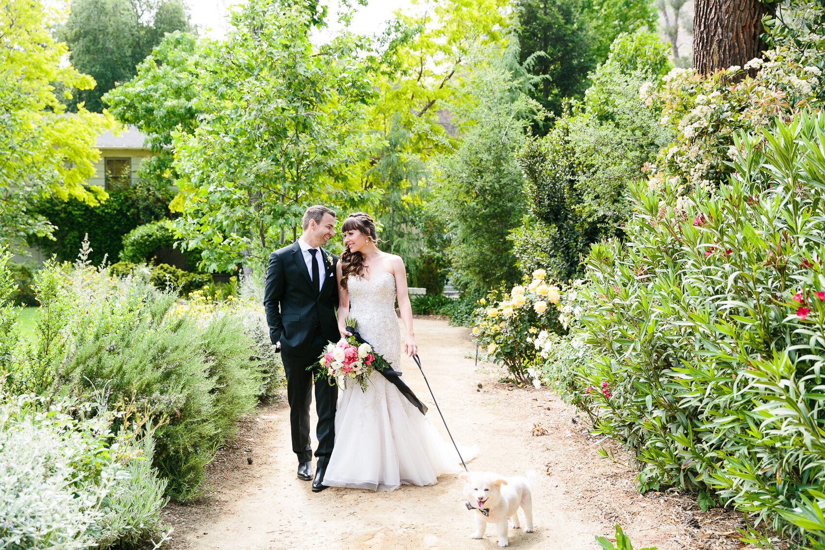 Bride and groom strolling in a garden with a small white dog