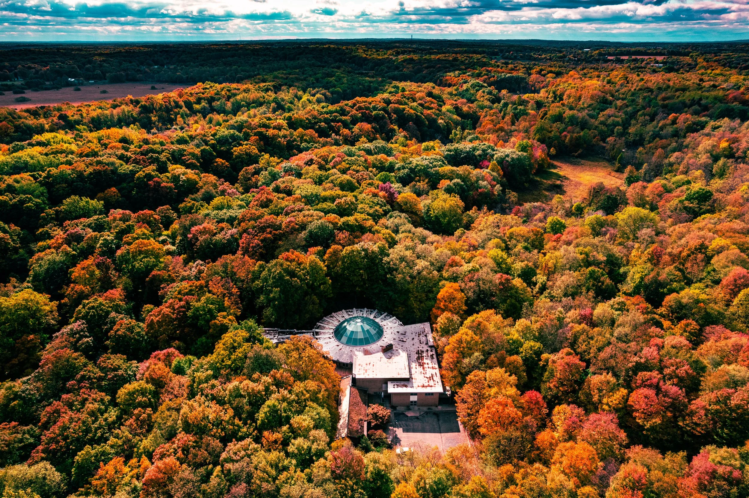 53260447302_307edeb4b9_o (1).jpg