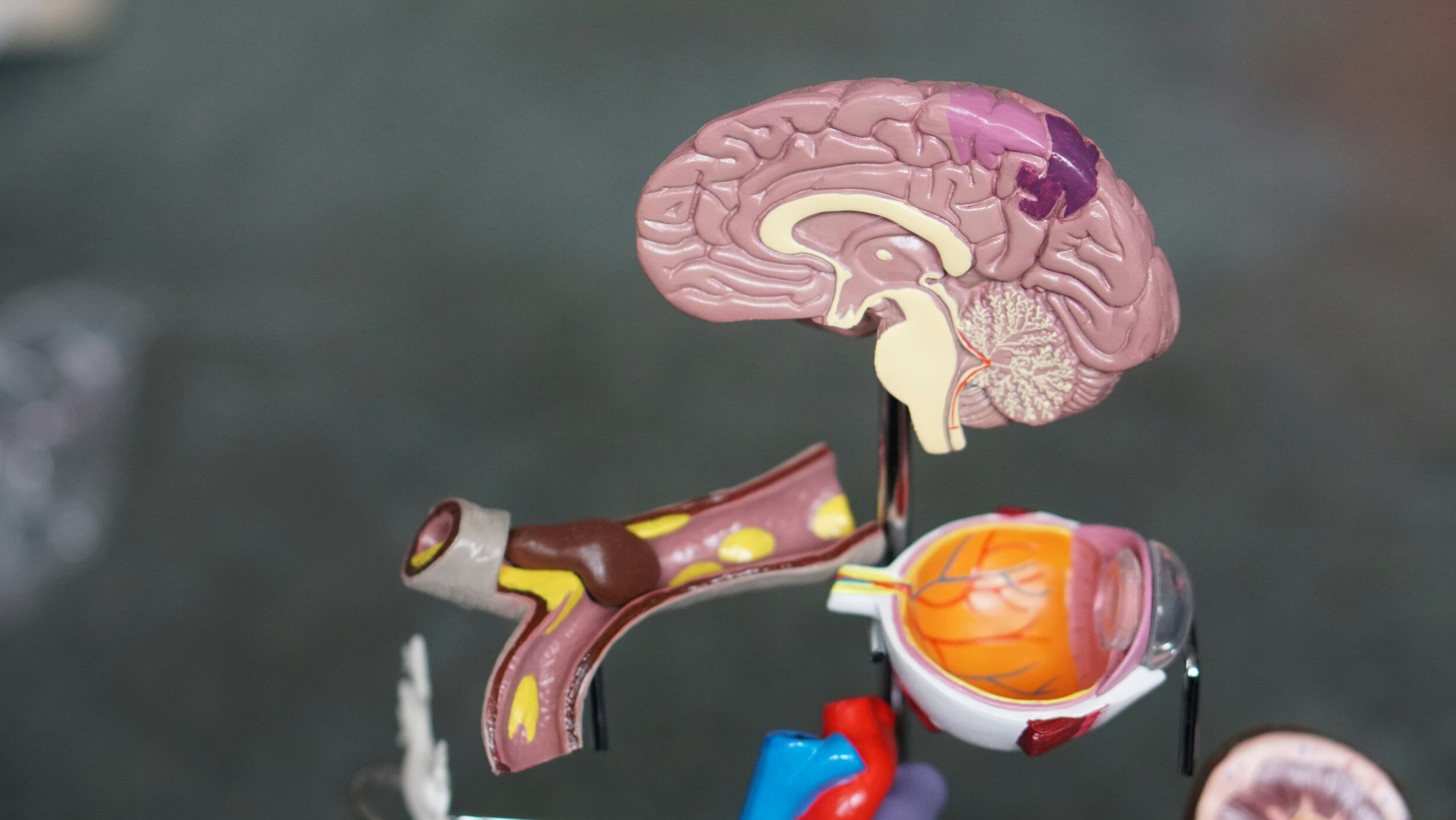 The impact of emotions on health