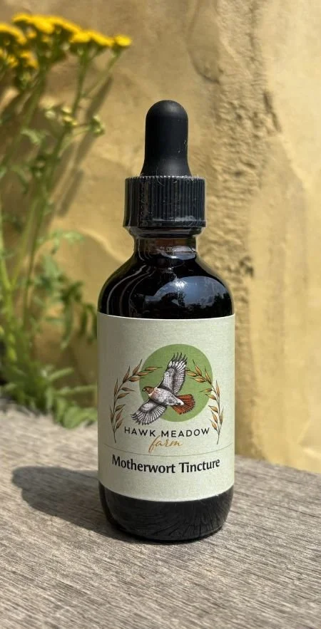 motherwort2.jpg