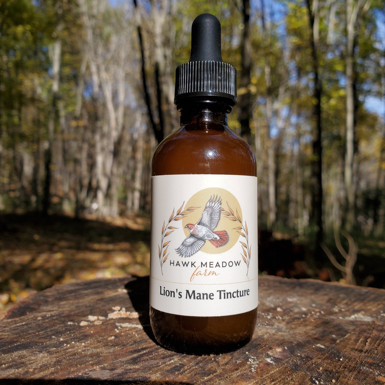 Lion's Mane Mushroom Tincture