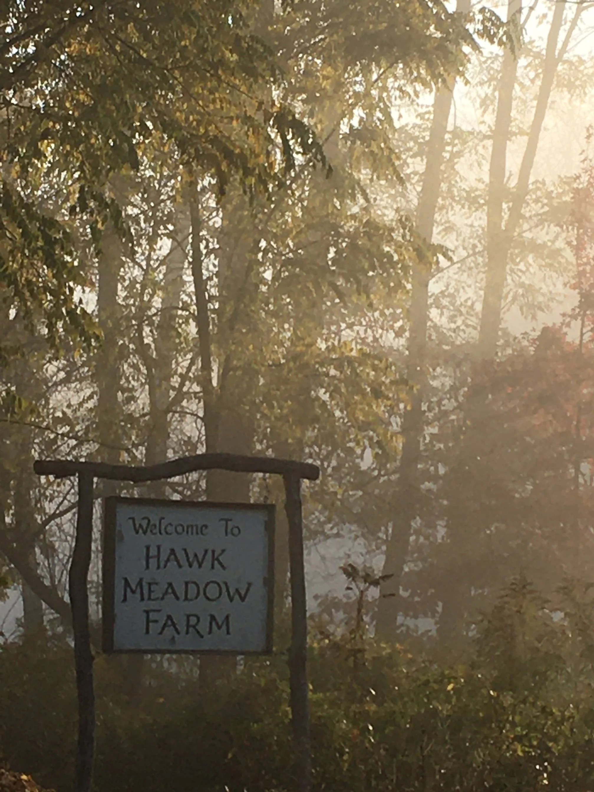 hawkmeadowsign.JPG