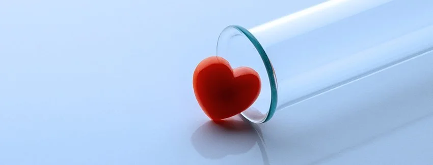 The Power of "One Last Try": A Journey to a Family of Four