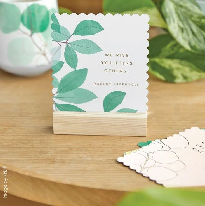 ⁠
One of the last ranges I creatively directed for kikki.K 🌿✨⁠
⁠
The collection centred around personal growth, reflection and self-empowerment &mdash; using greenery, organic illustration and themes of growth to reinforce the message while staying 