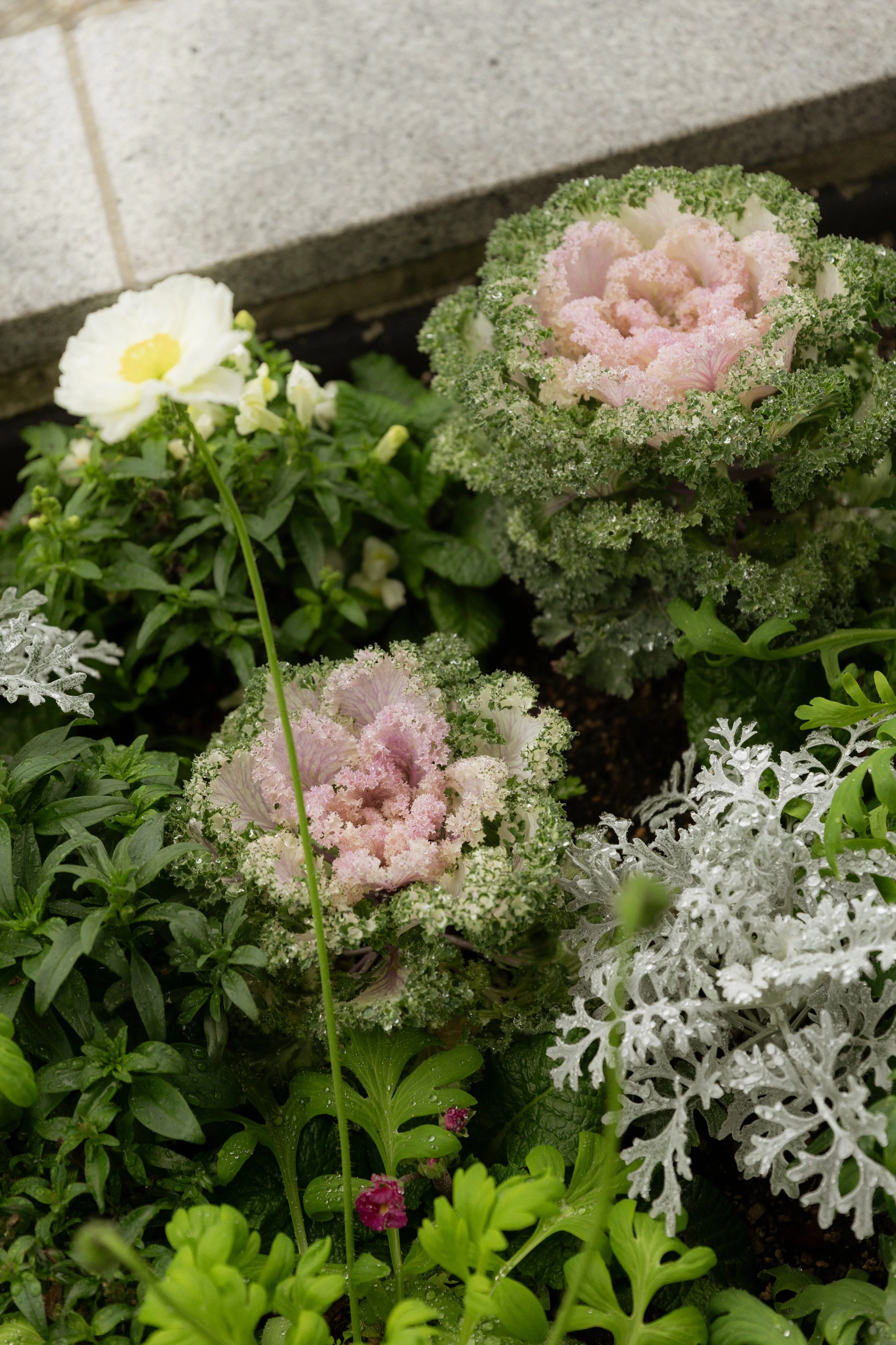 Oakland Temple Wedding