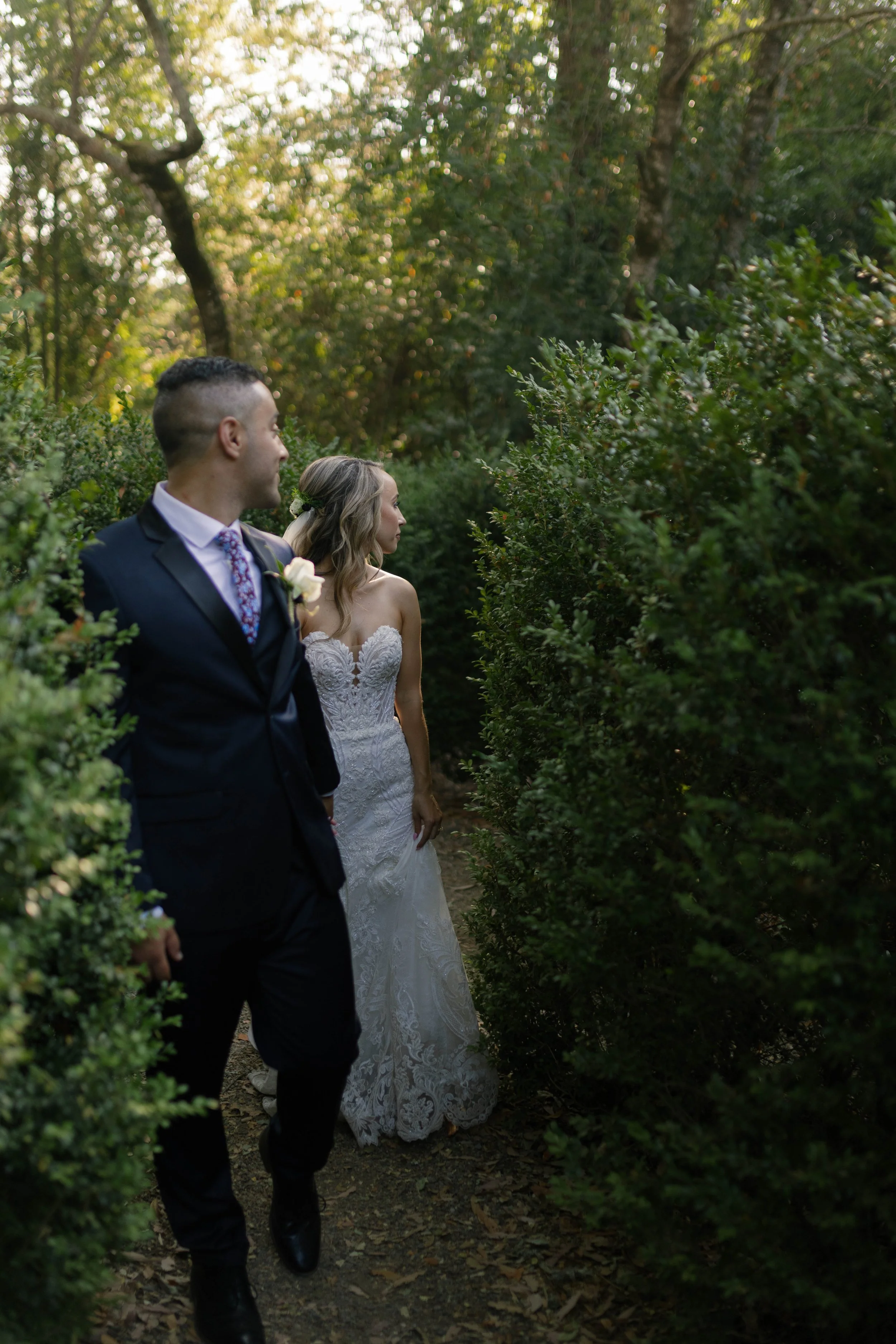 everything you need to know about Buena vista winery as a nor cal wedding photographer