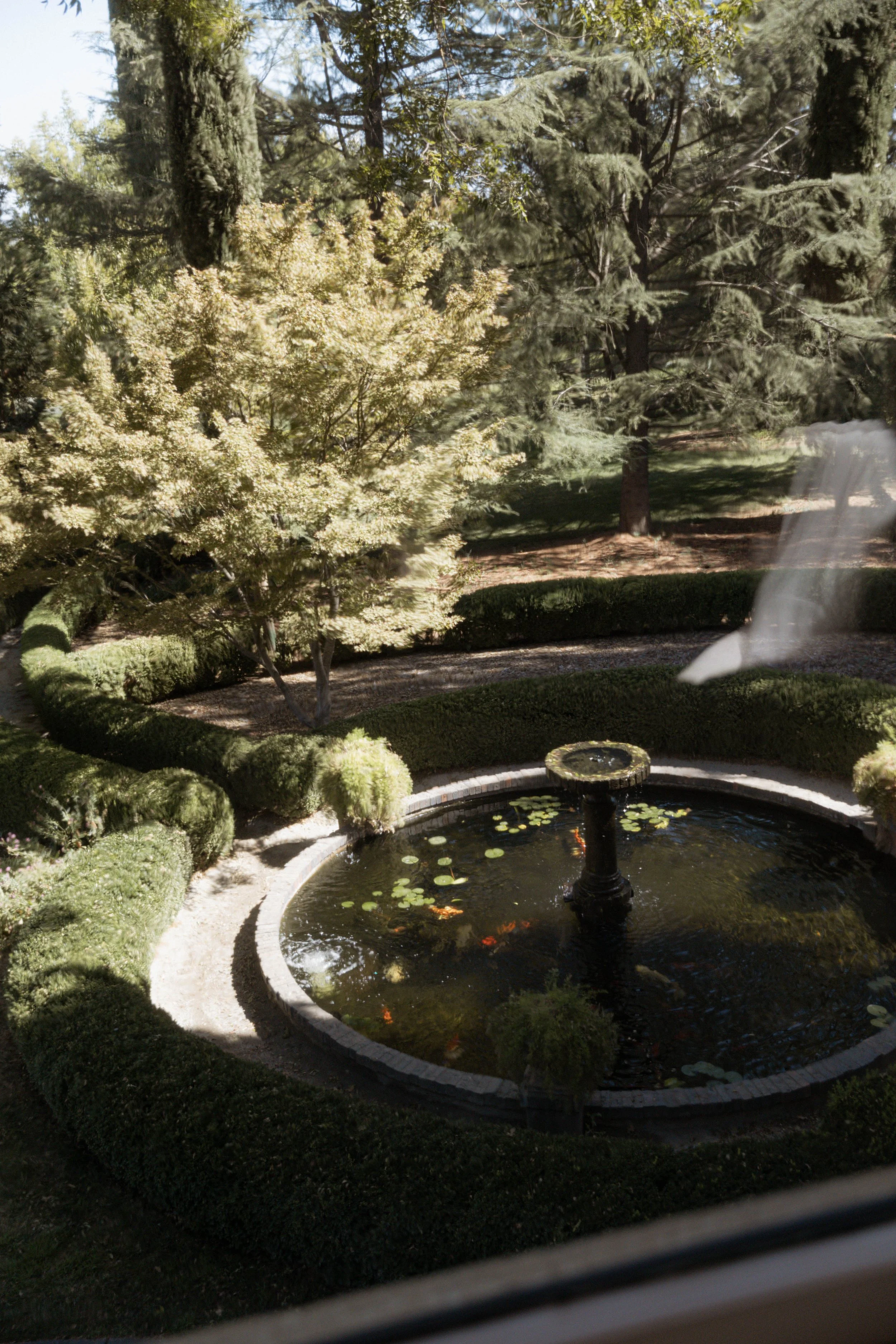 a photo of park winters pond with koi fish from the bridal sweet window.