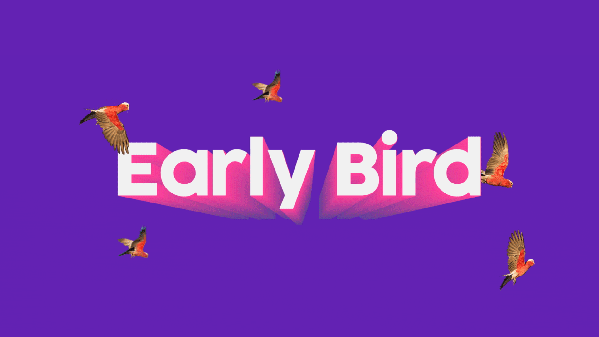 EarlyBird_1980x1080.gif