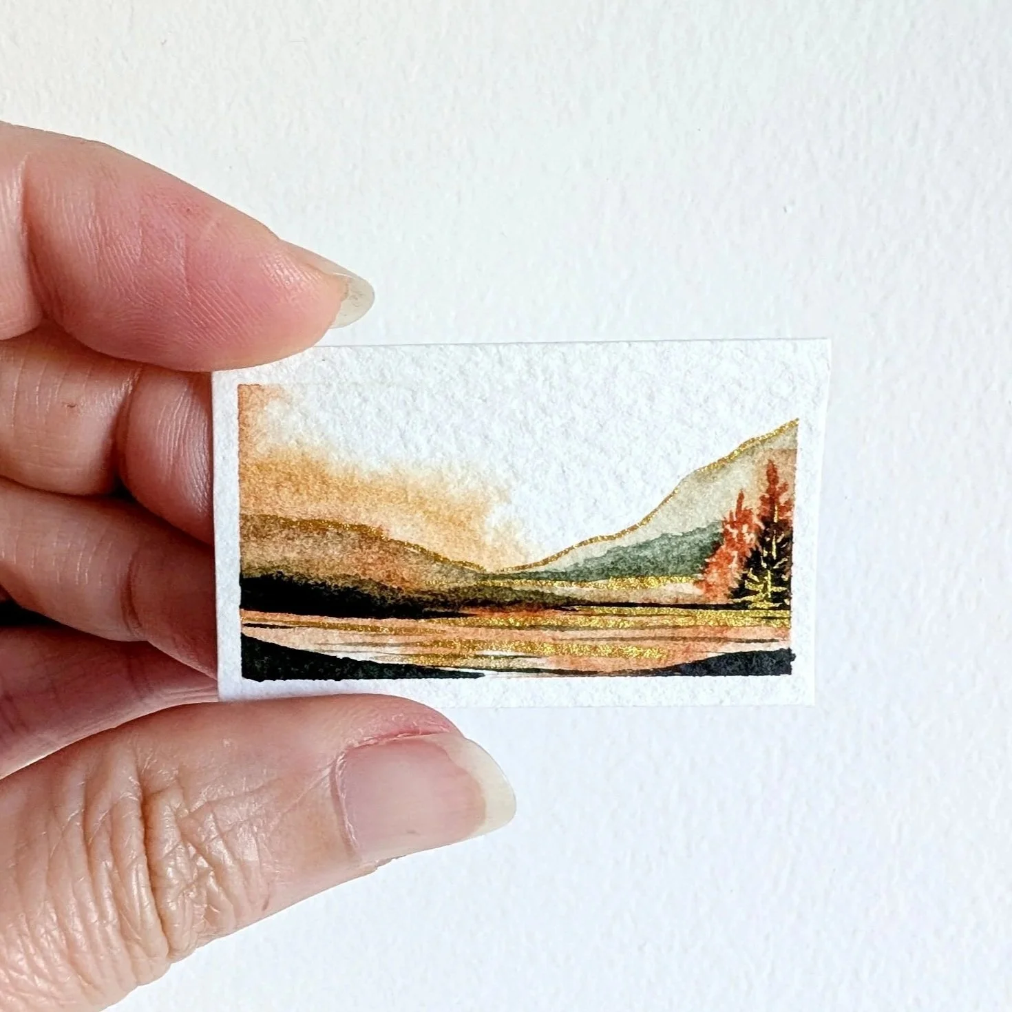 Mini Landscapes