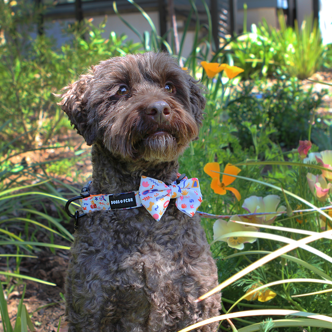 SOOKIE BOW TIE.png