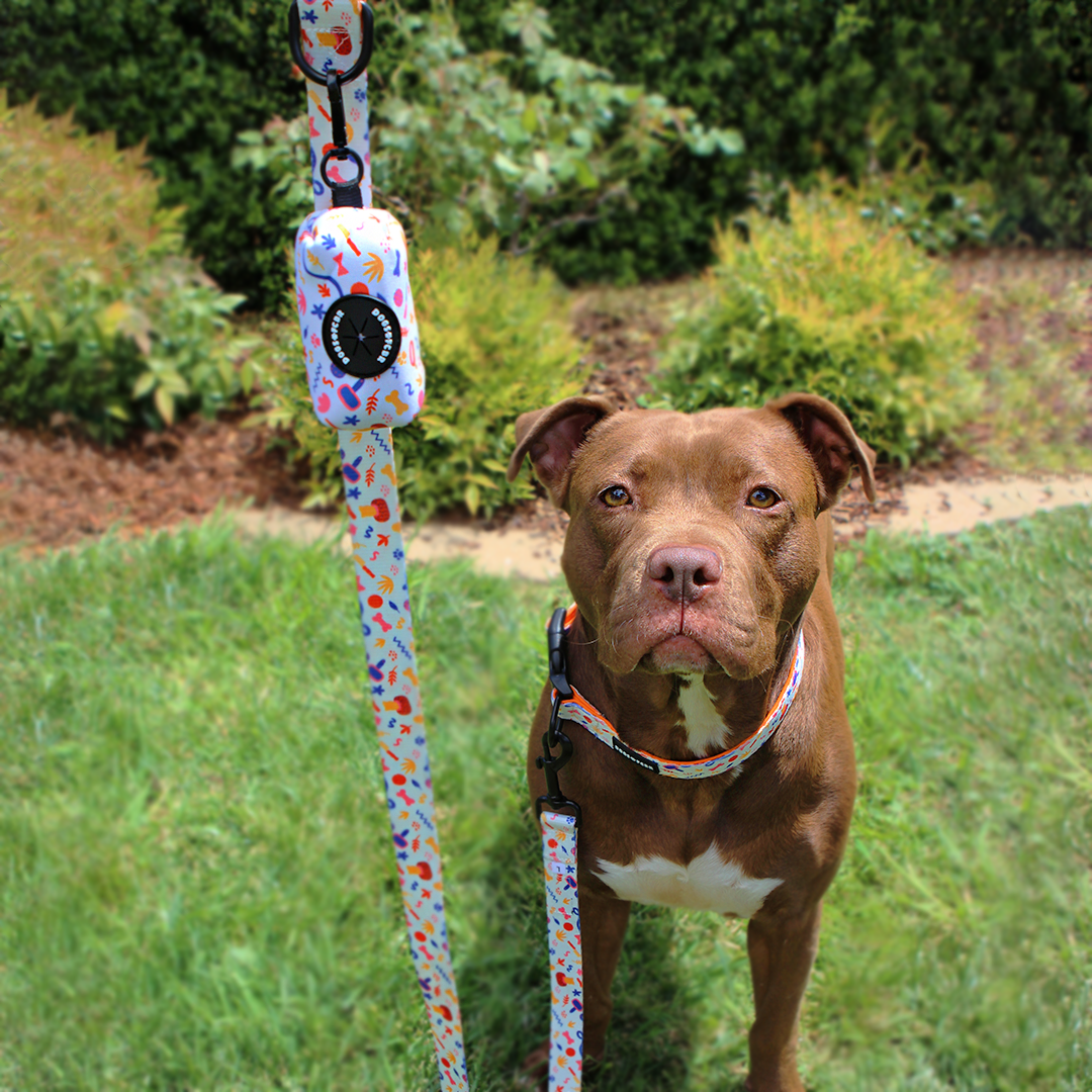 NEISHA POOP BAG AND LEASH.png