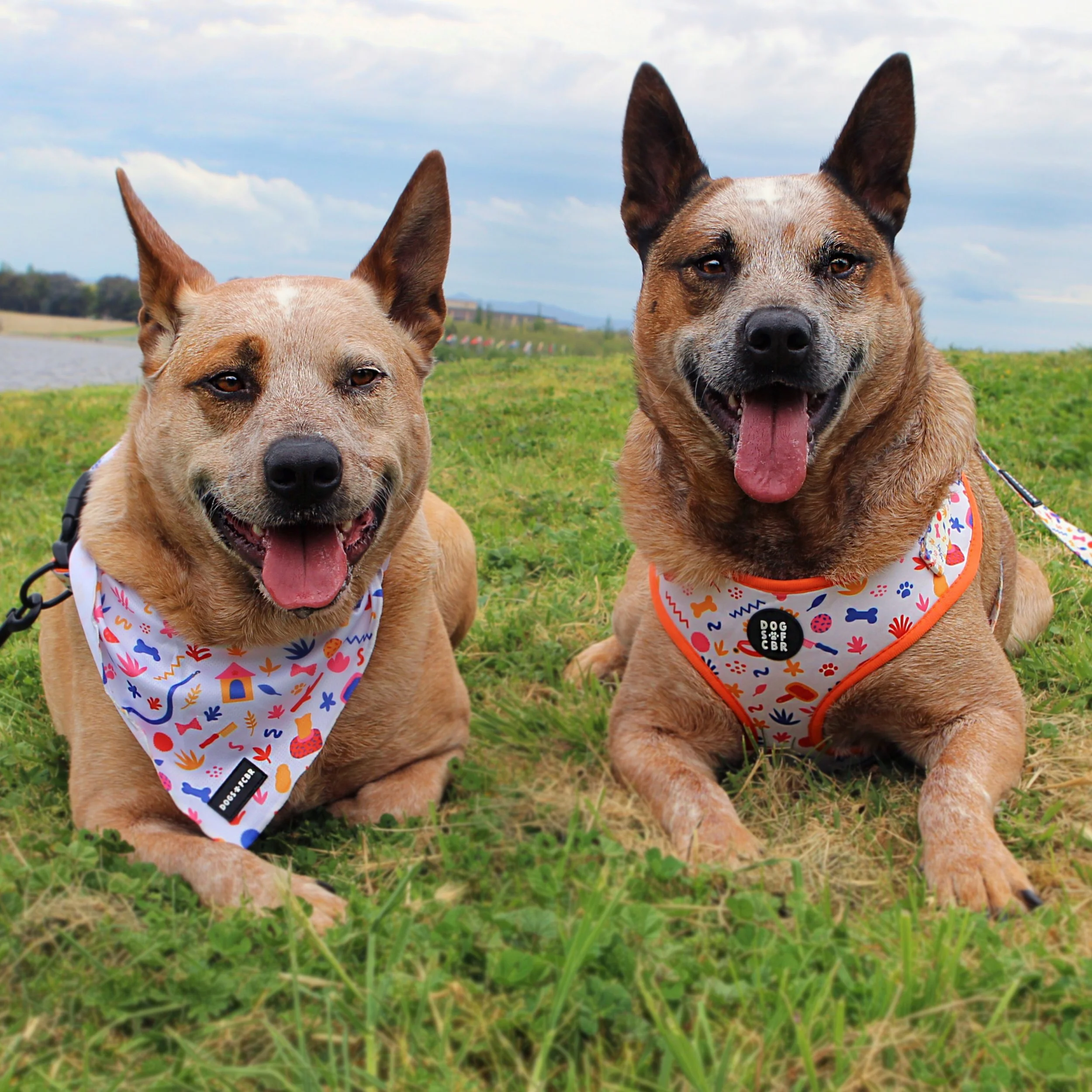 Untitled_Artwork 25.JPG