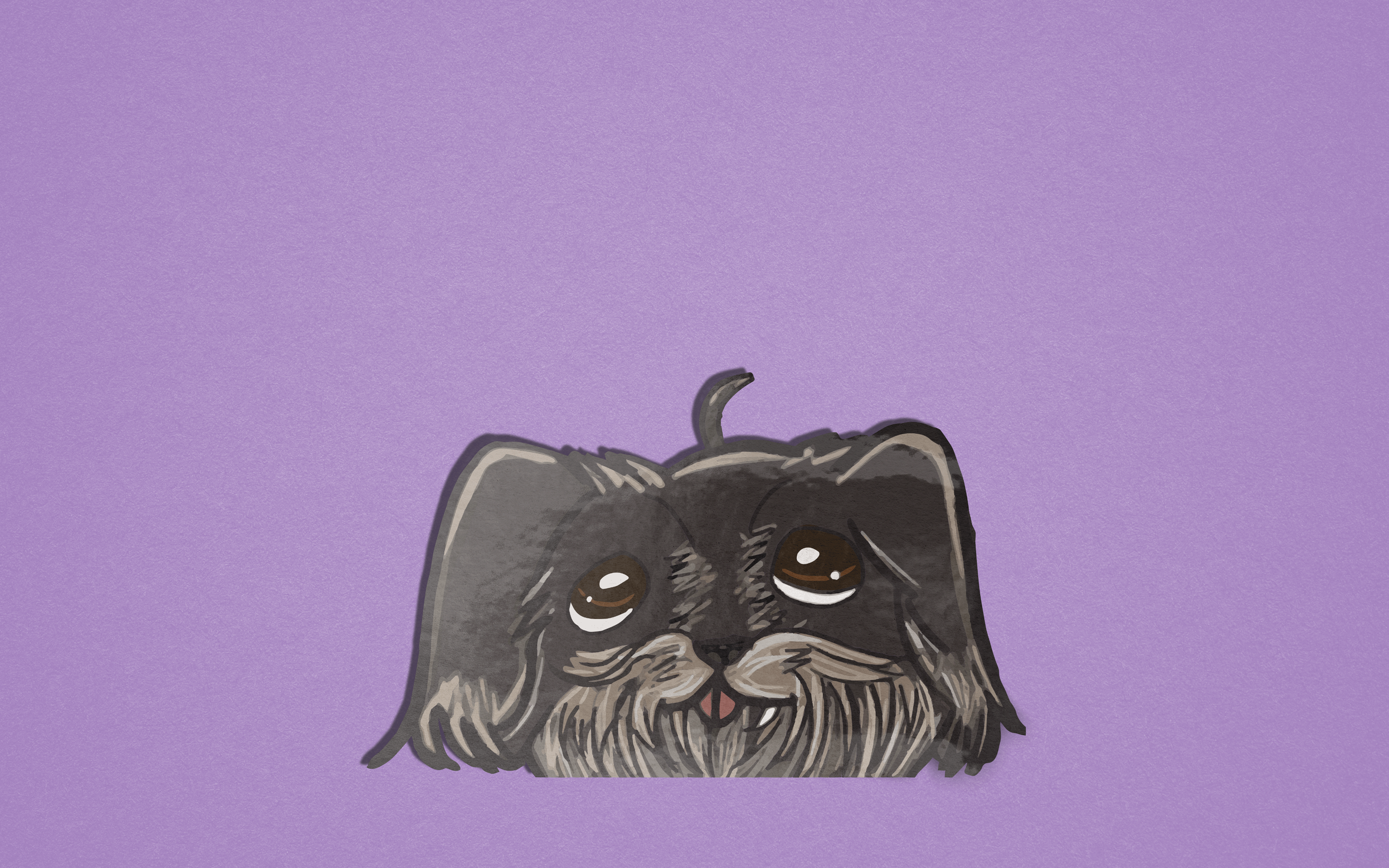 CHONKY THE SHIHTZU - original character