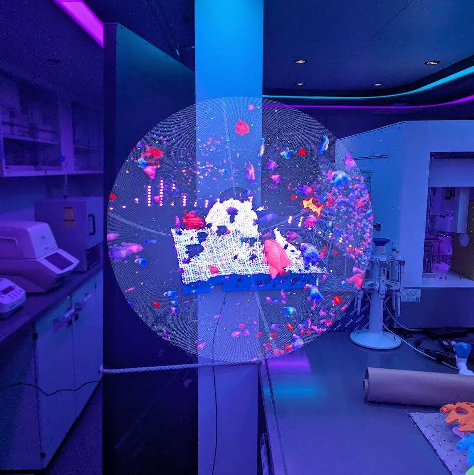 PXL_20250905_172509667 (1).jpg