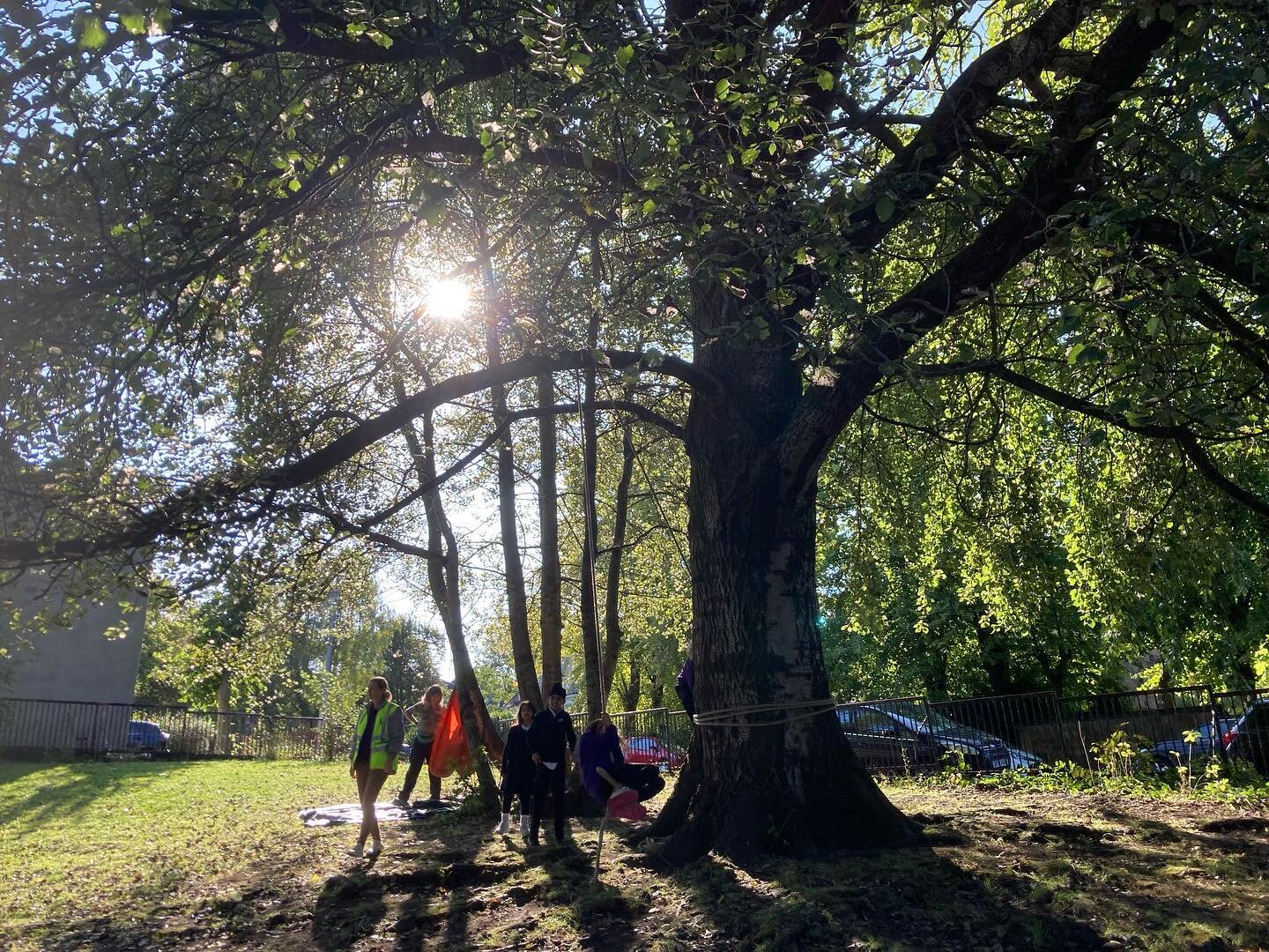A busy week of outdoor play at The Nest this week 🪺 as well as our regular Thursday gang we&rsquo;ve a new group starting at our local primary school 💜 We&rsquo;re discovering all sorts of great places to play, big branches to swing from, digging s